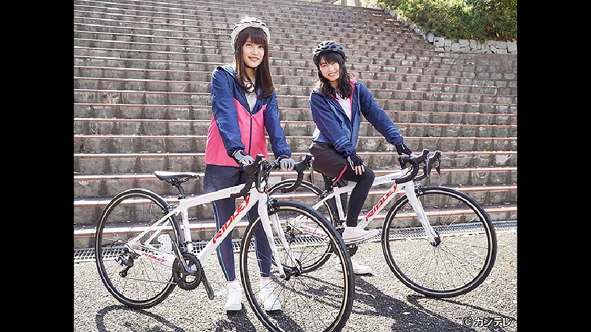 ゆいはん＆あんにん　お茶の京都で茶いくる