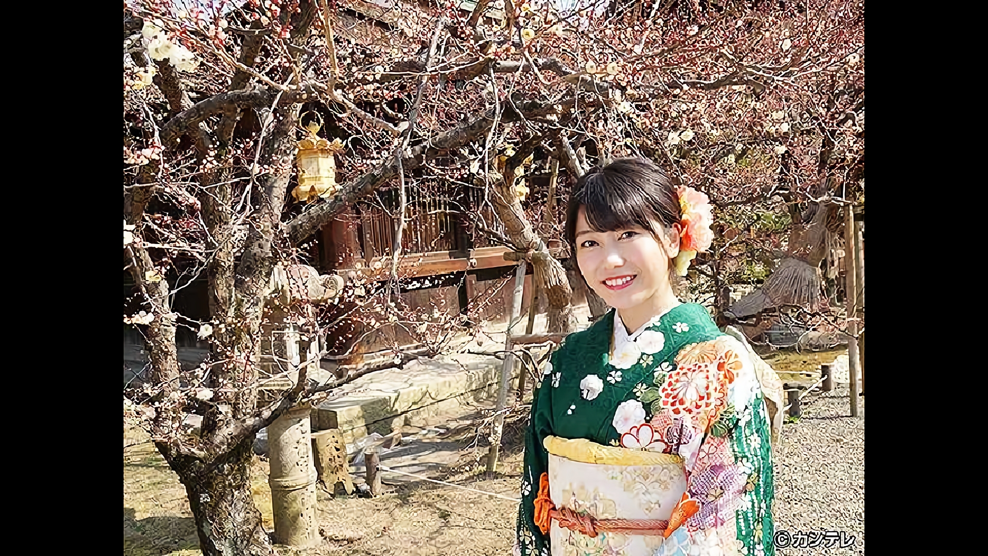 学生の街 京の若人