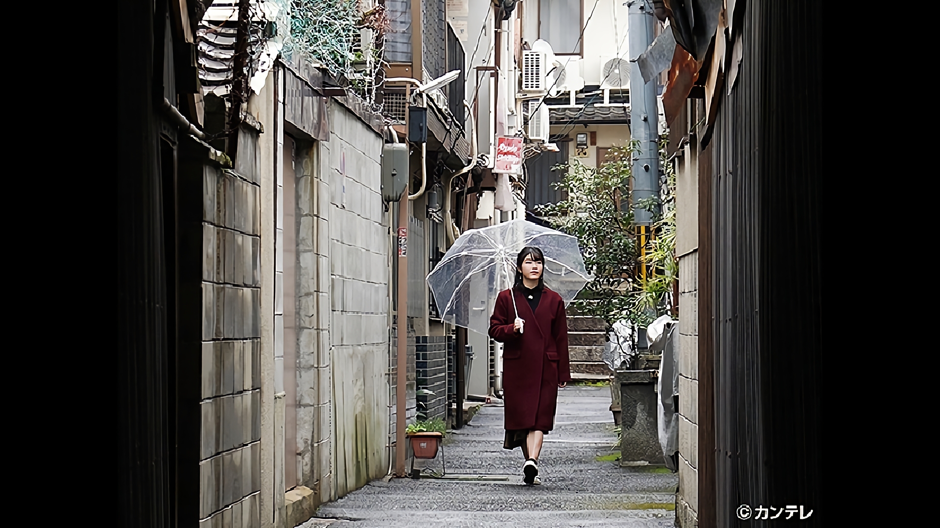 京都の路地をゆいはんが上ル下ル