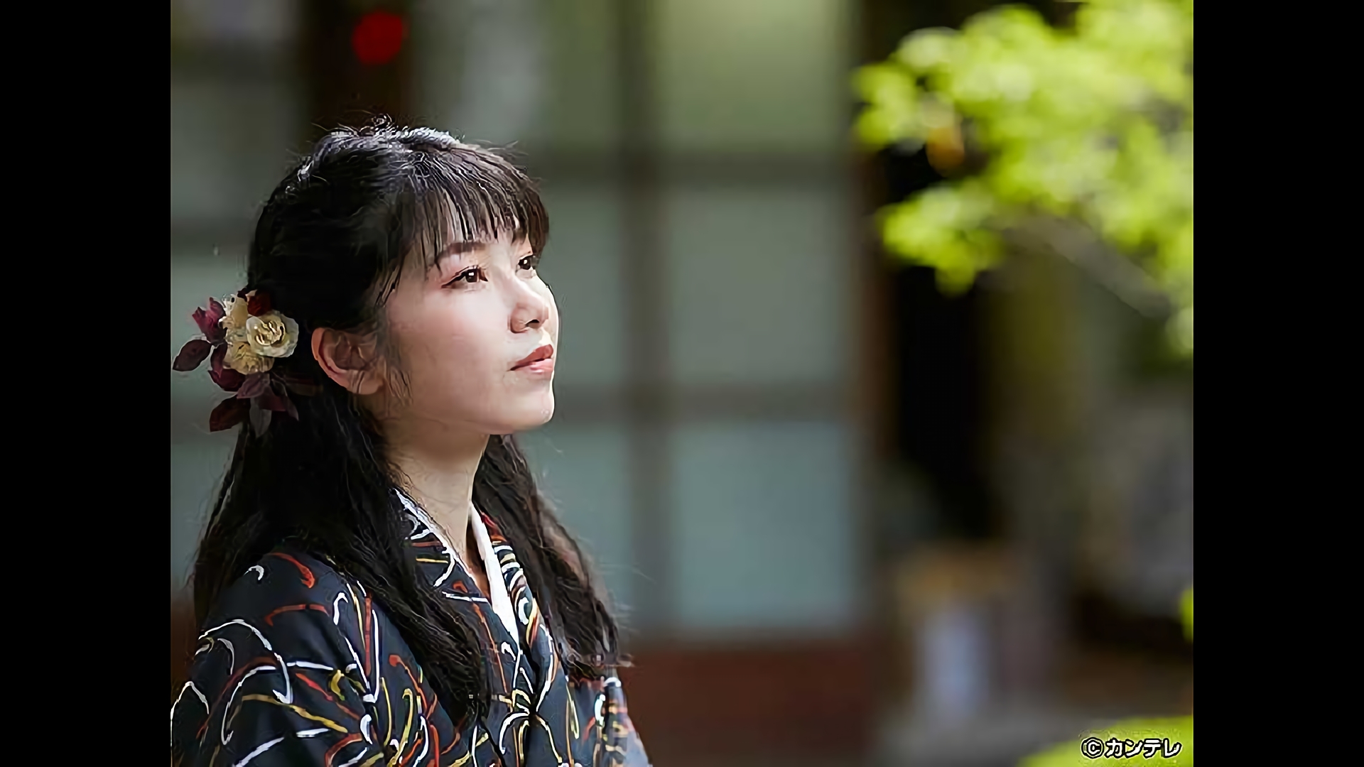 令和の秋　新旧の歴史を感じる　御所周辺をぶらり