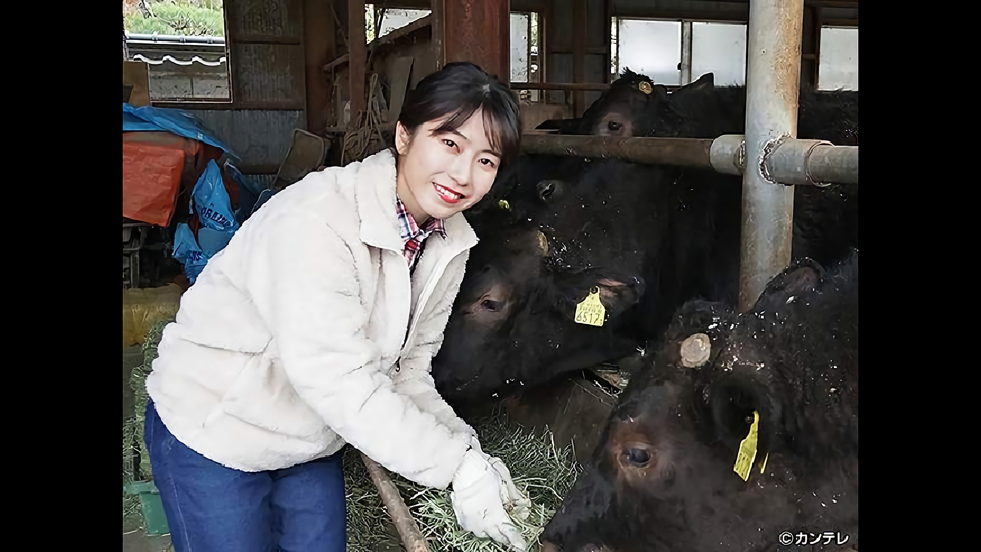 幻の京の食材で究極のすき焼き