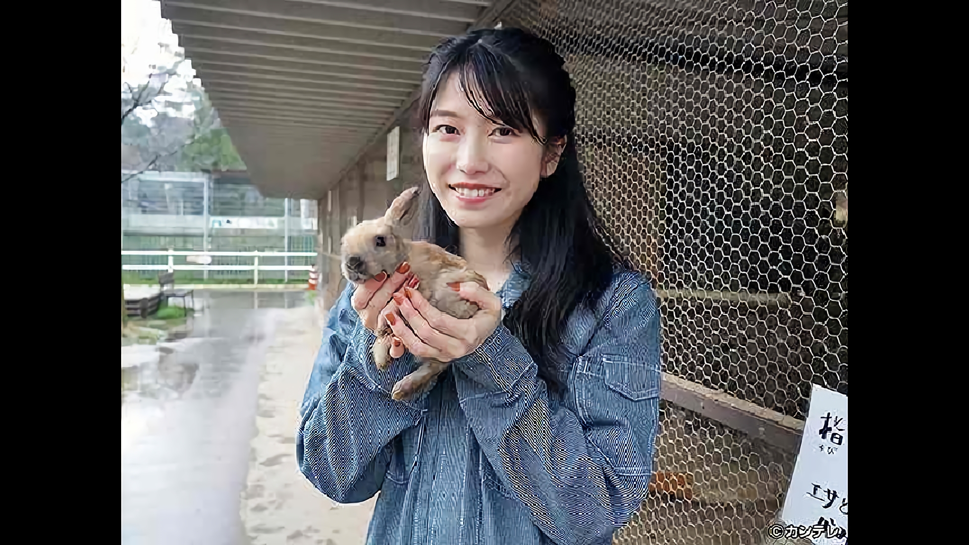 光秀が築いた福を知る城下町へ