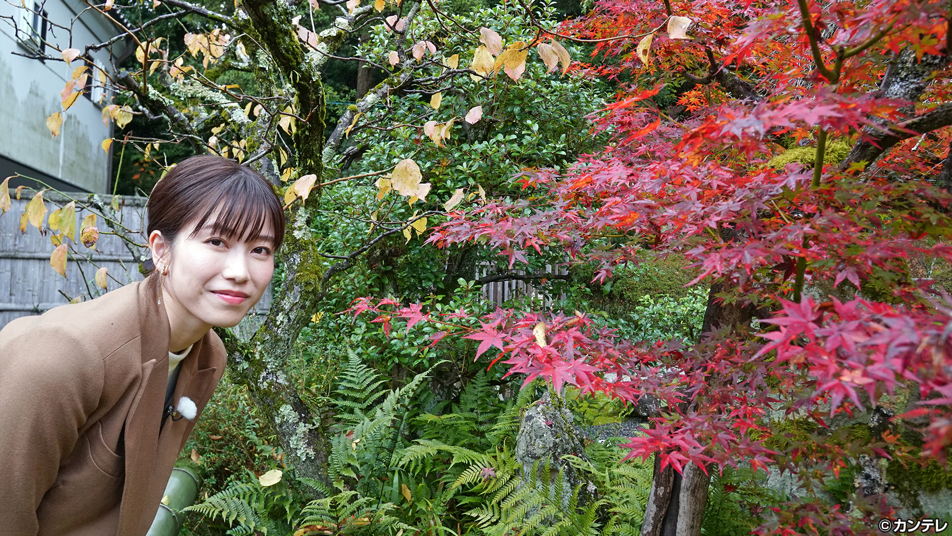 心惹かれるままに紅葉の京都を散策