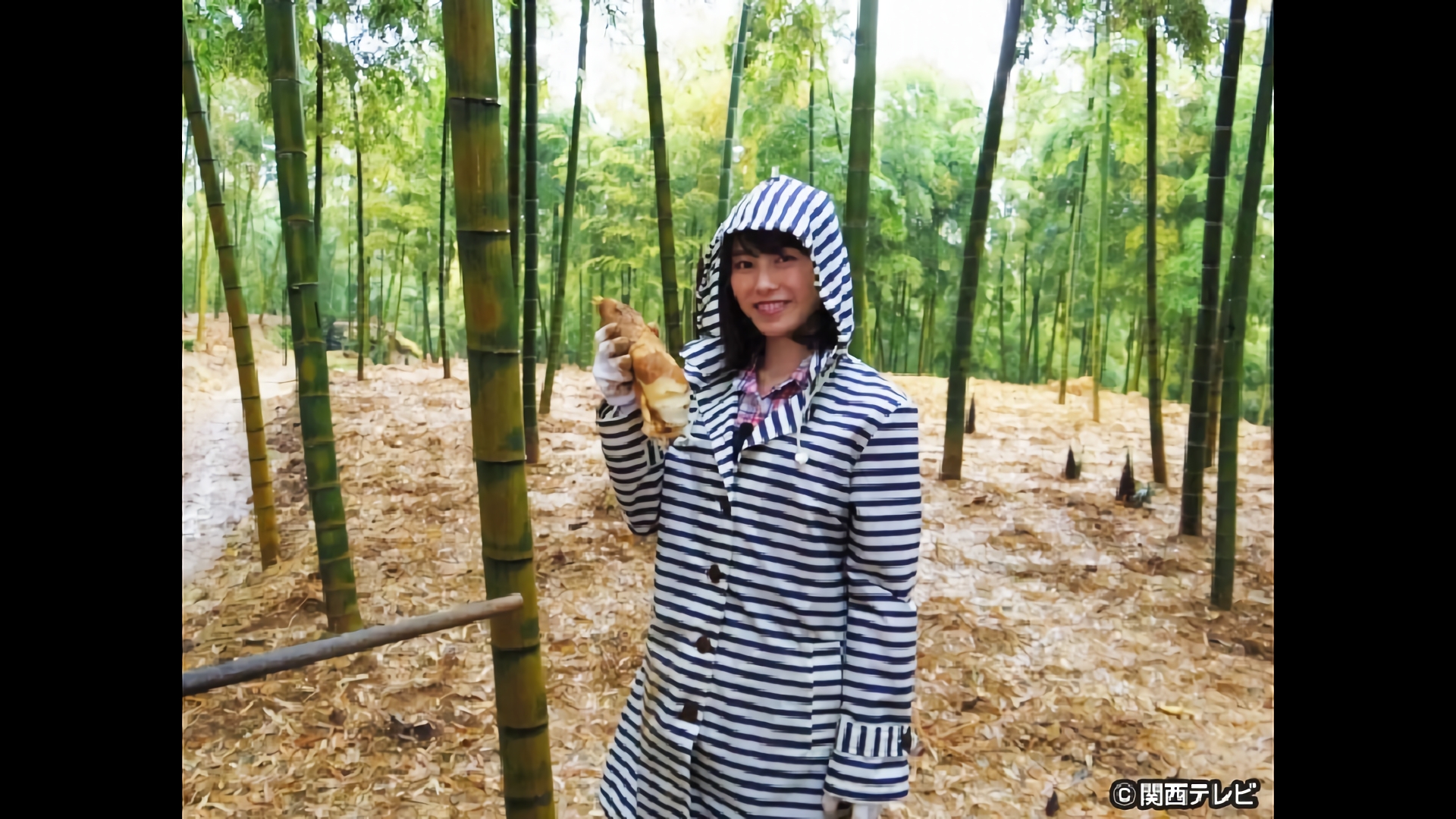 日本一のたけのこを求めて