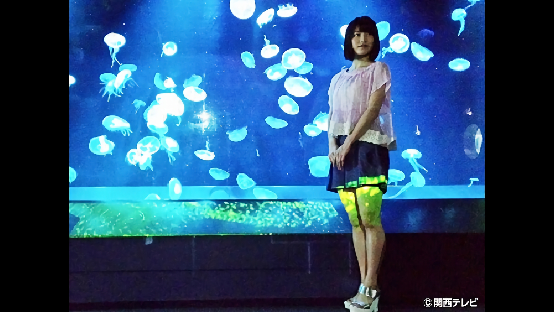 夏の京の涼を探しに