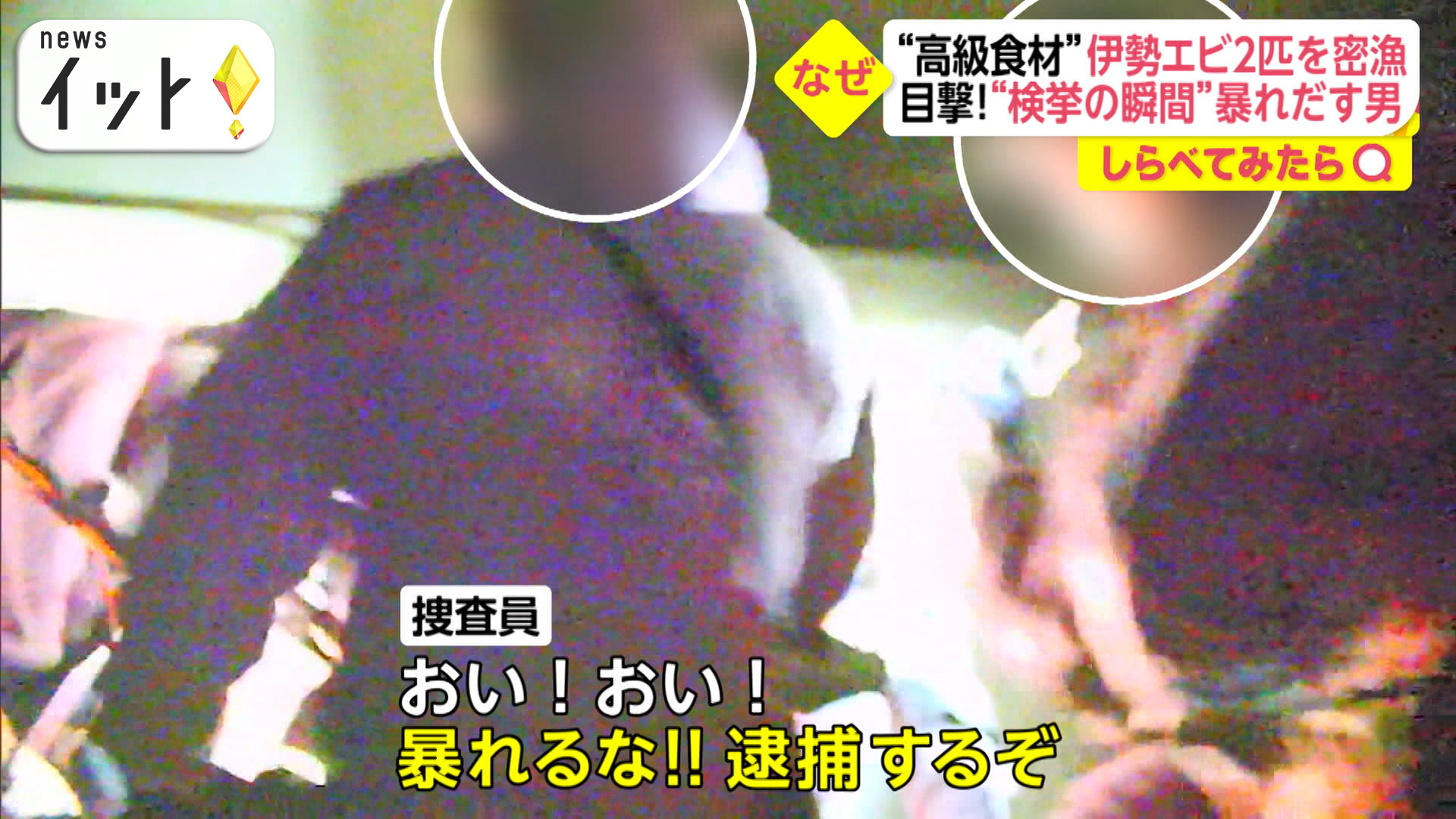 高級な伊勢エビを密漁！検挙の瞬間