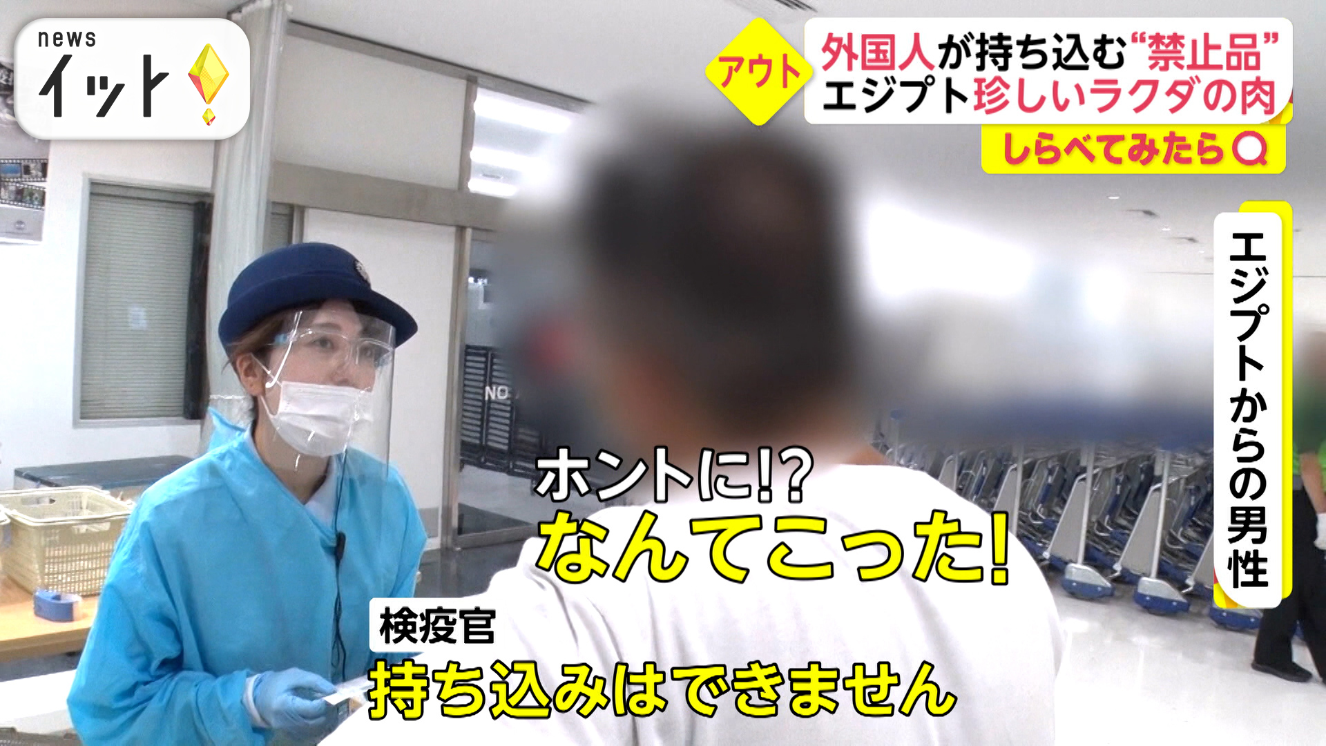 鞄の中からラクダのお肉！外国人の持ち込み禁止品