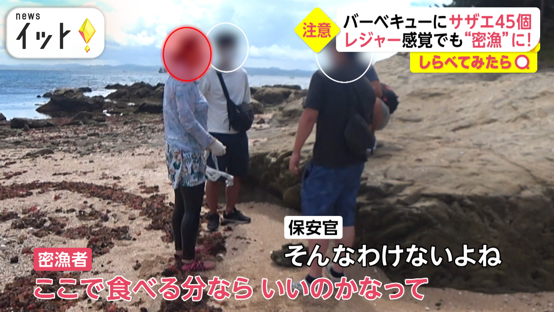 高級食材アワビ＆サザエを密漁！検挙の瞬間