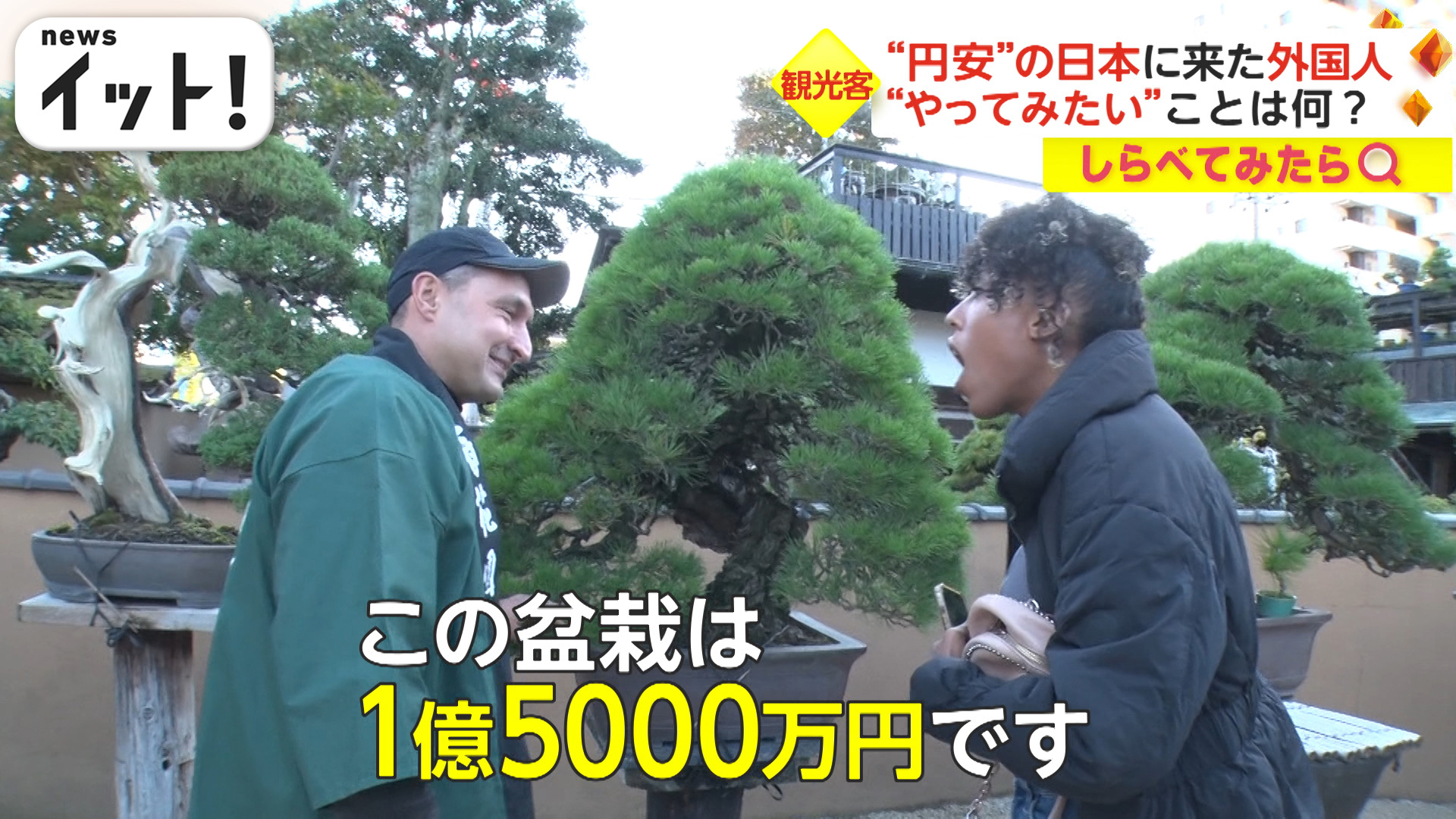 外国人が“1億円の盆栽”に大興奮！“円安”の日本でやりたいことは？