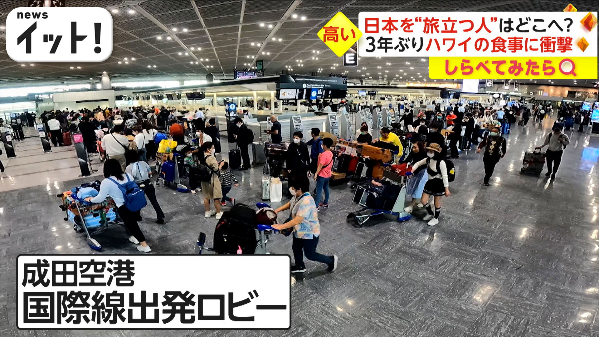 ハワイの食事代にビックリ＆ひとり卒業旅行･･･日本を旅立つ人たち