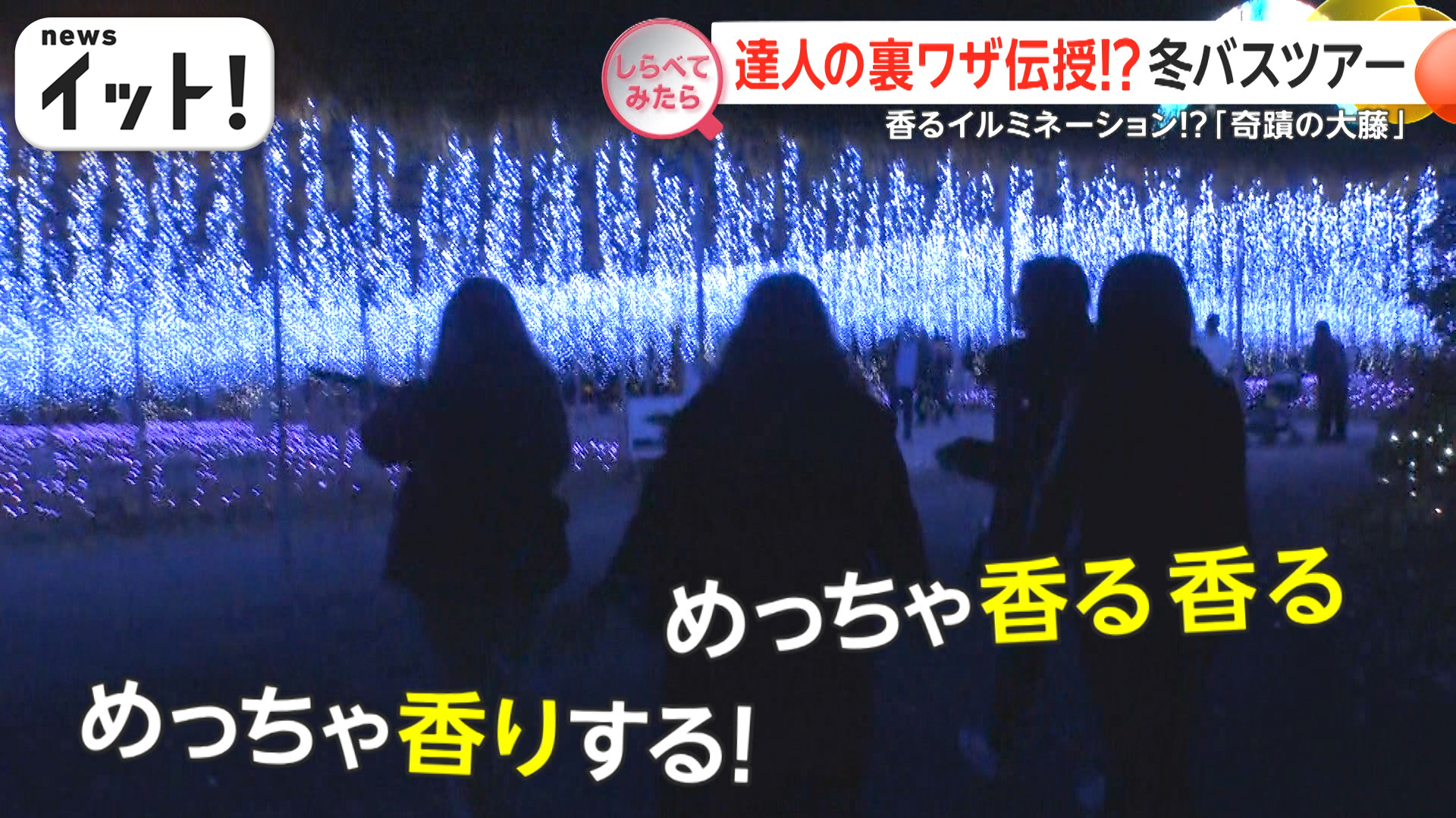 達人技で魅了倍増！冬の人気バスツアー