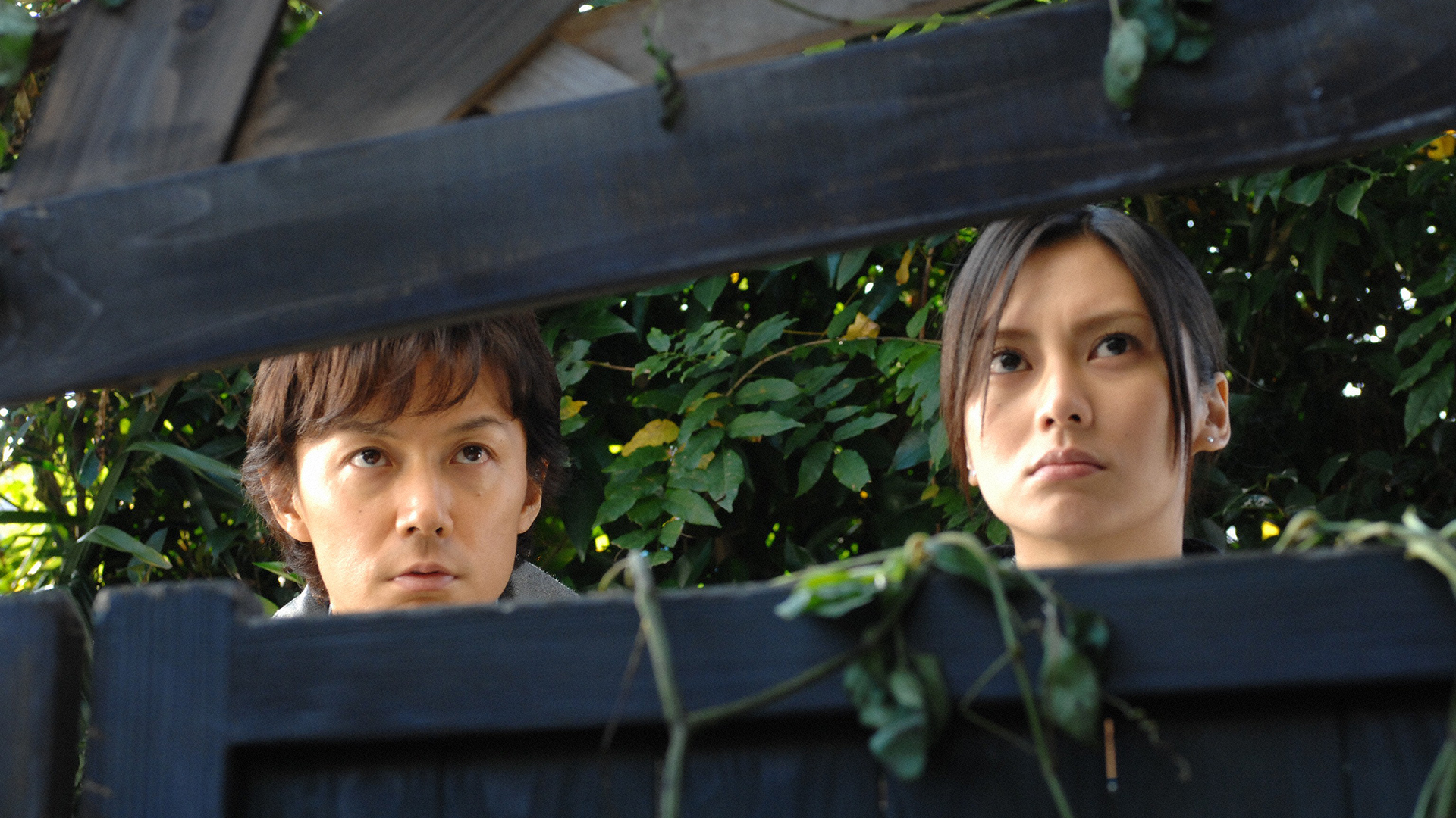 夢想る（ゆめみる）未来の恋と二人きりの長い夜