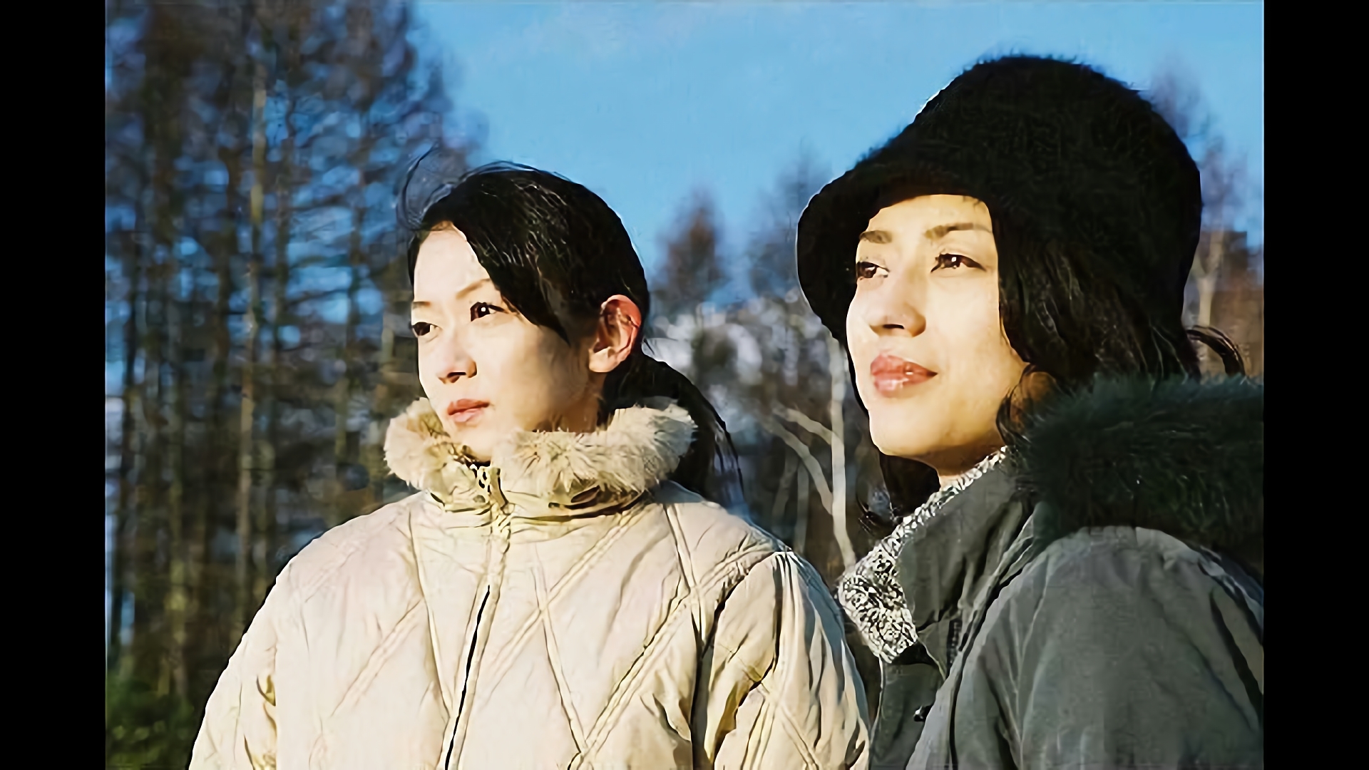 牡丹と薔薇※VHS※1話〜60話(最終話)全12巻　希少　美品 牡丹と薔薇