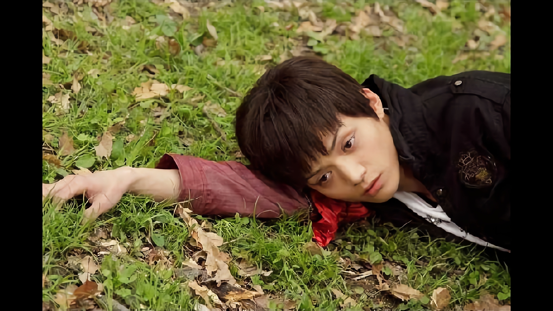 壊れた夢と身体とグリード復活