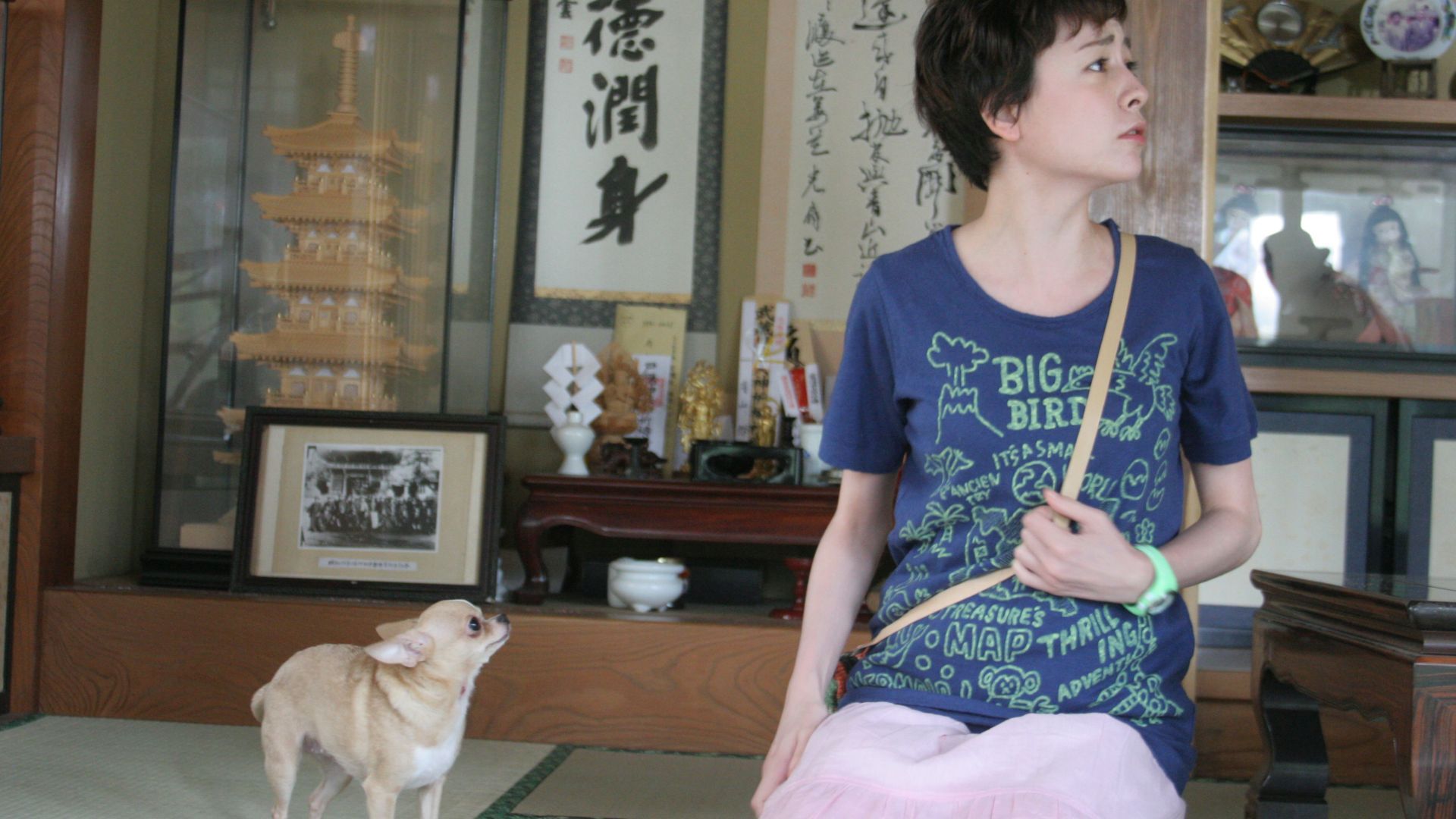 ライフラインは直訳すると命綱なのだ。