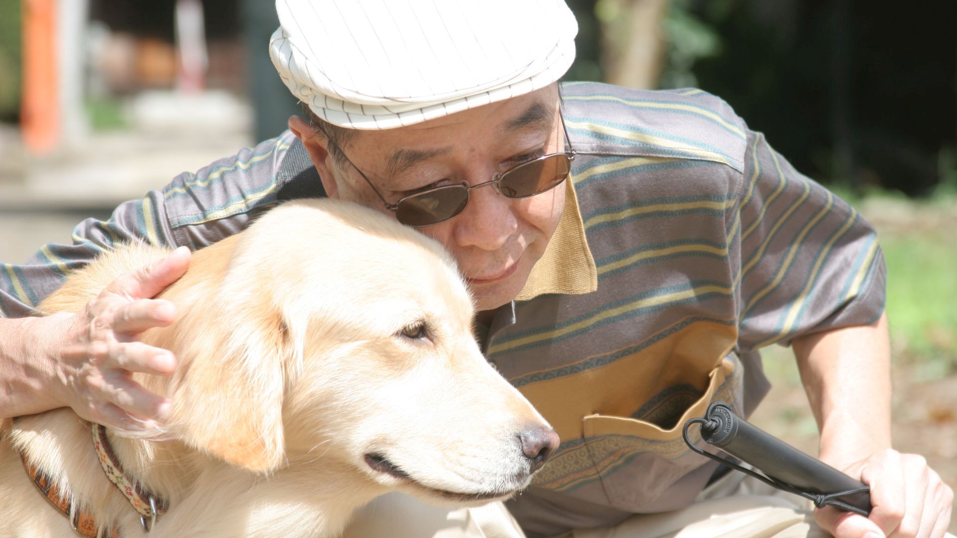 正しい答えは時折、見えなくなるのだ。