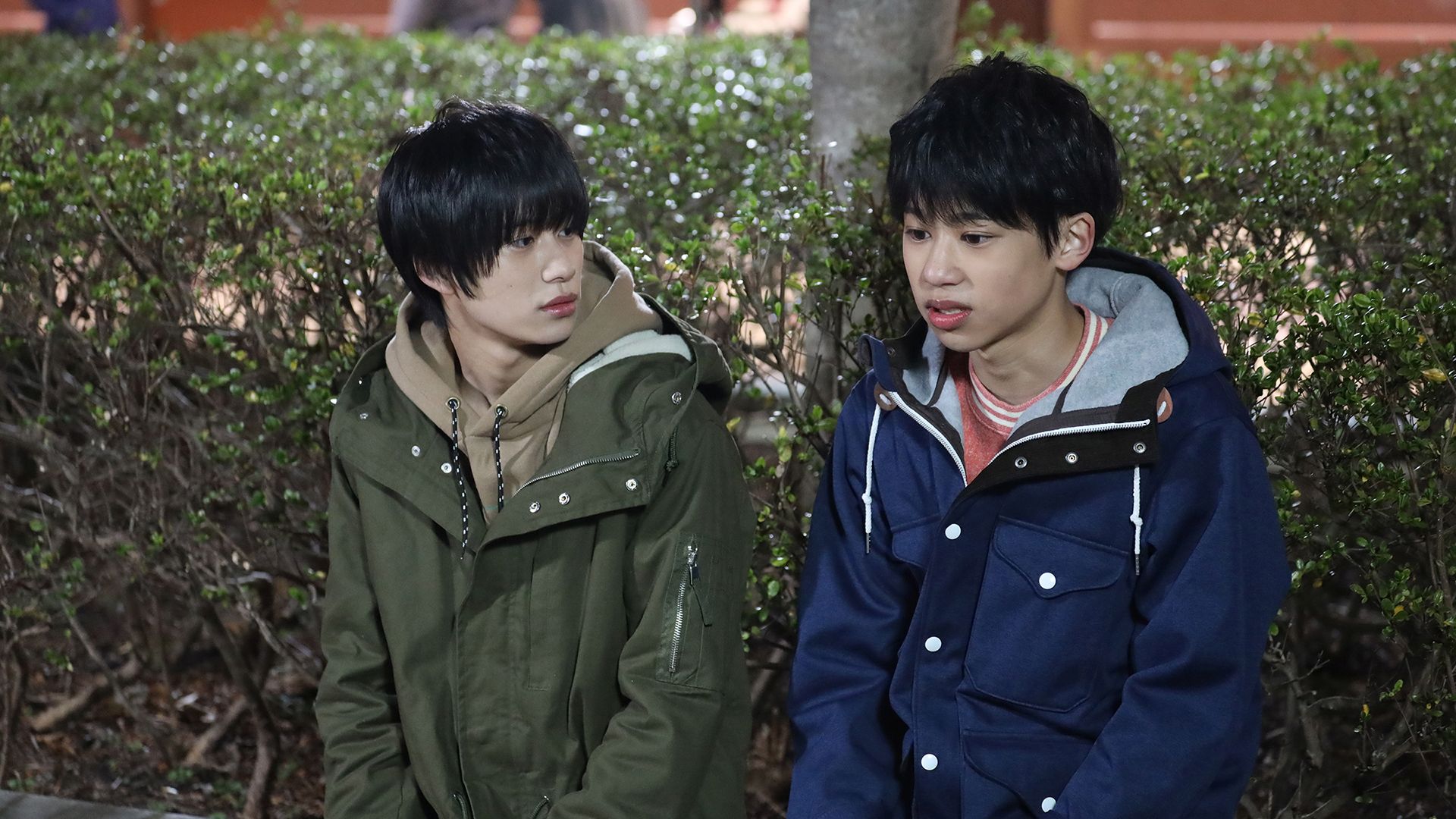 にどめのはつこい