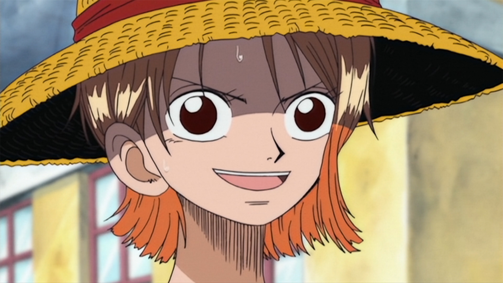 ルフィ全開！ナミの決意と麦わら帽子