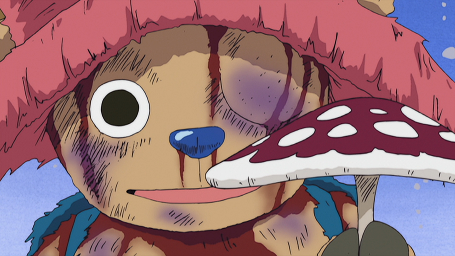 ヒルルクの桜と受け継がれゆく意志！