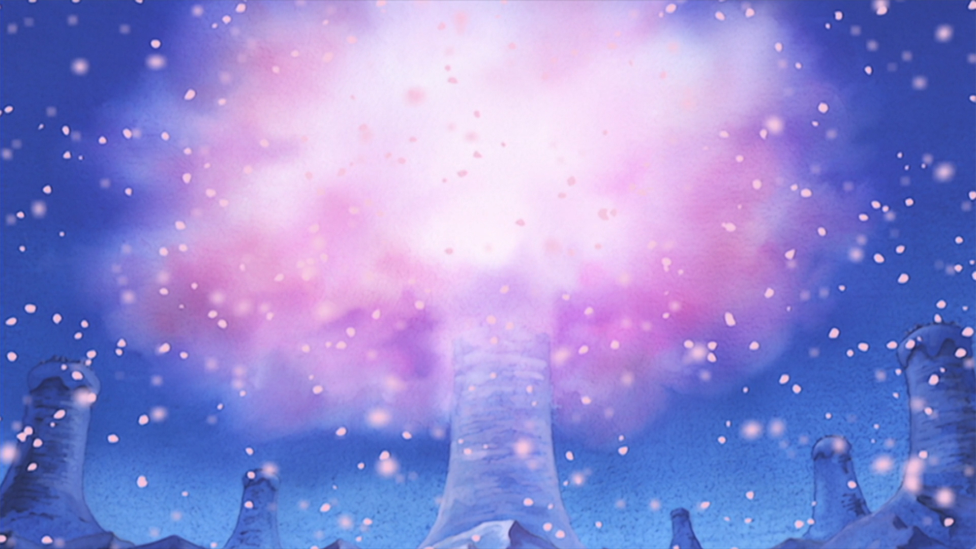 ヒルルクの桜！ドラムロッキーの奇跡