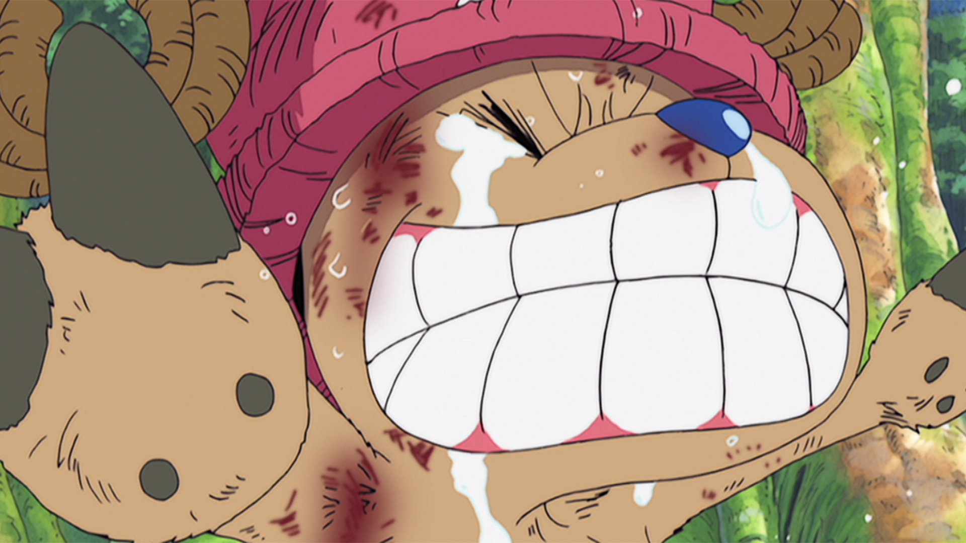 チョッパー危うし！元神VS神官シュラ