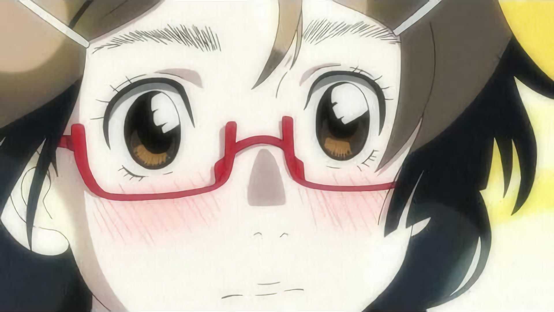 ジェリーフィッシュ・オブ・ドリームス