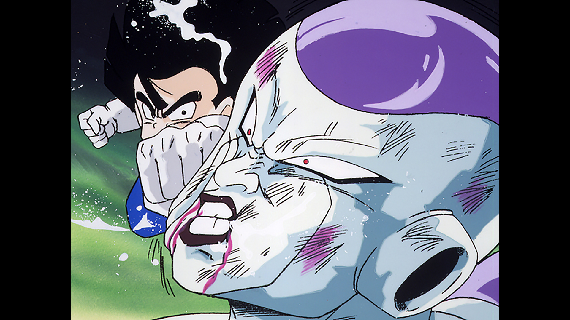 ボクは孫悟空の息子だ!! 悟飯、再び決戦場へ