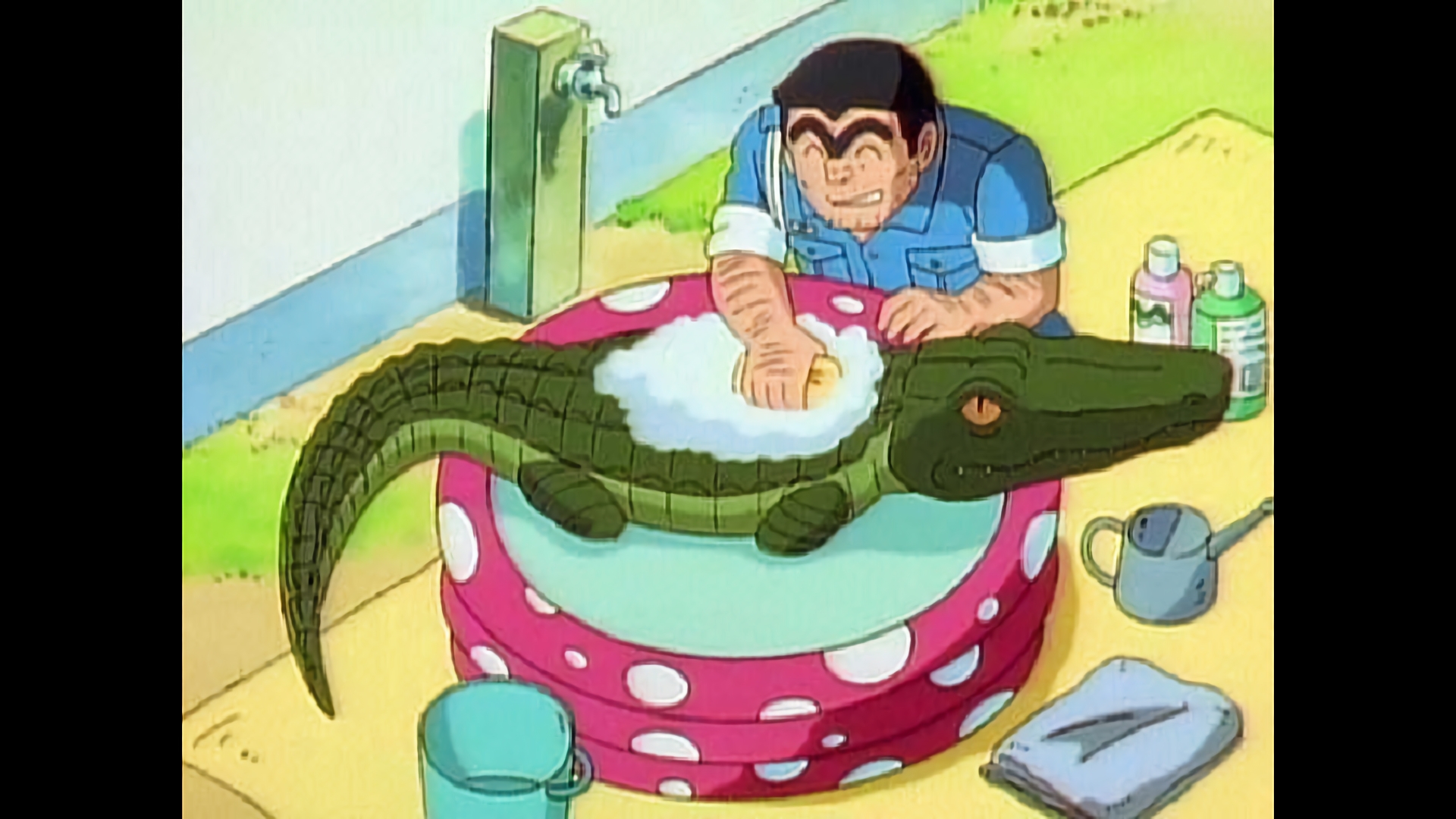 ワニ公！涙の芸人魂