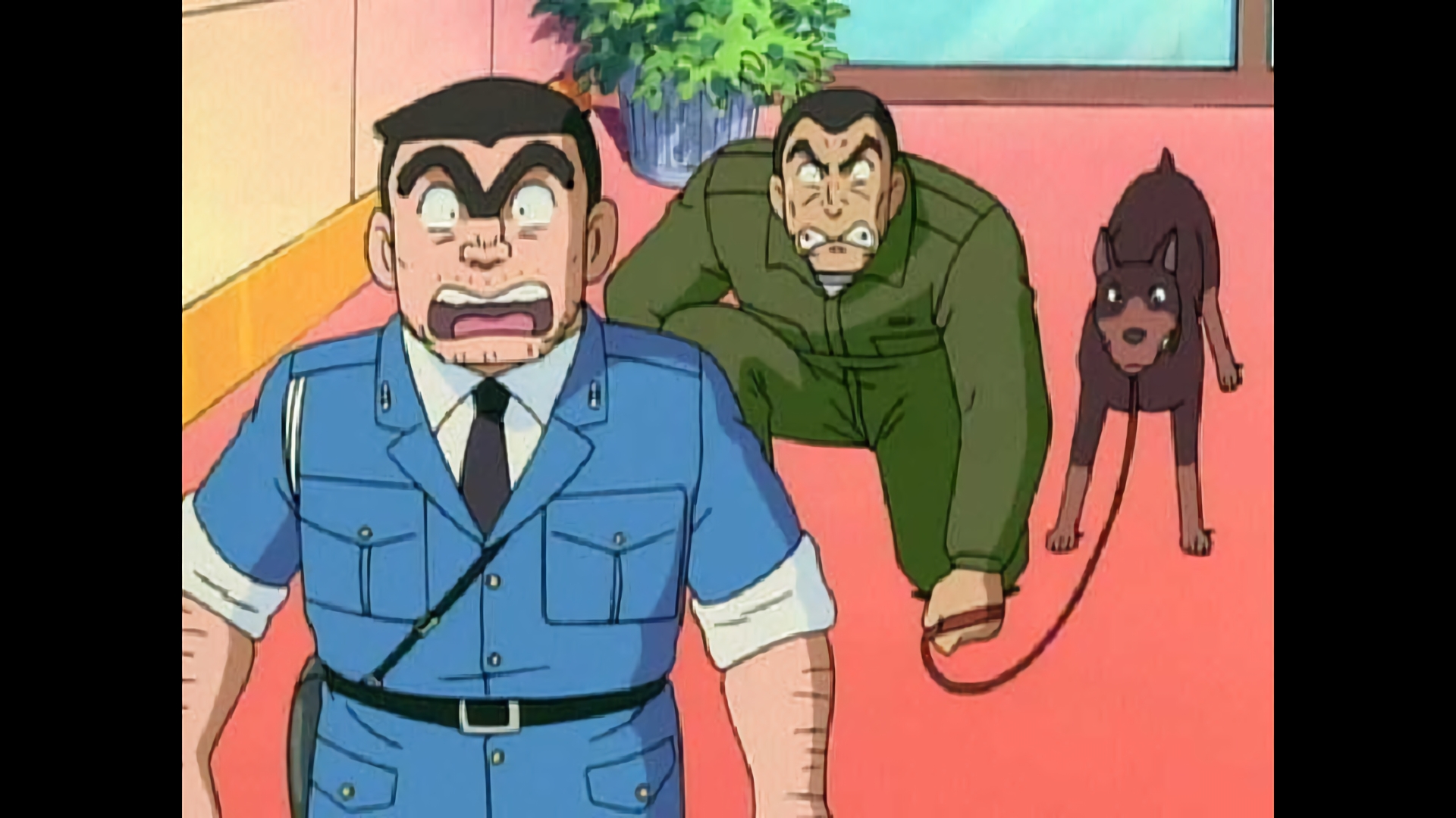 ペットの飼い方教えます