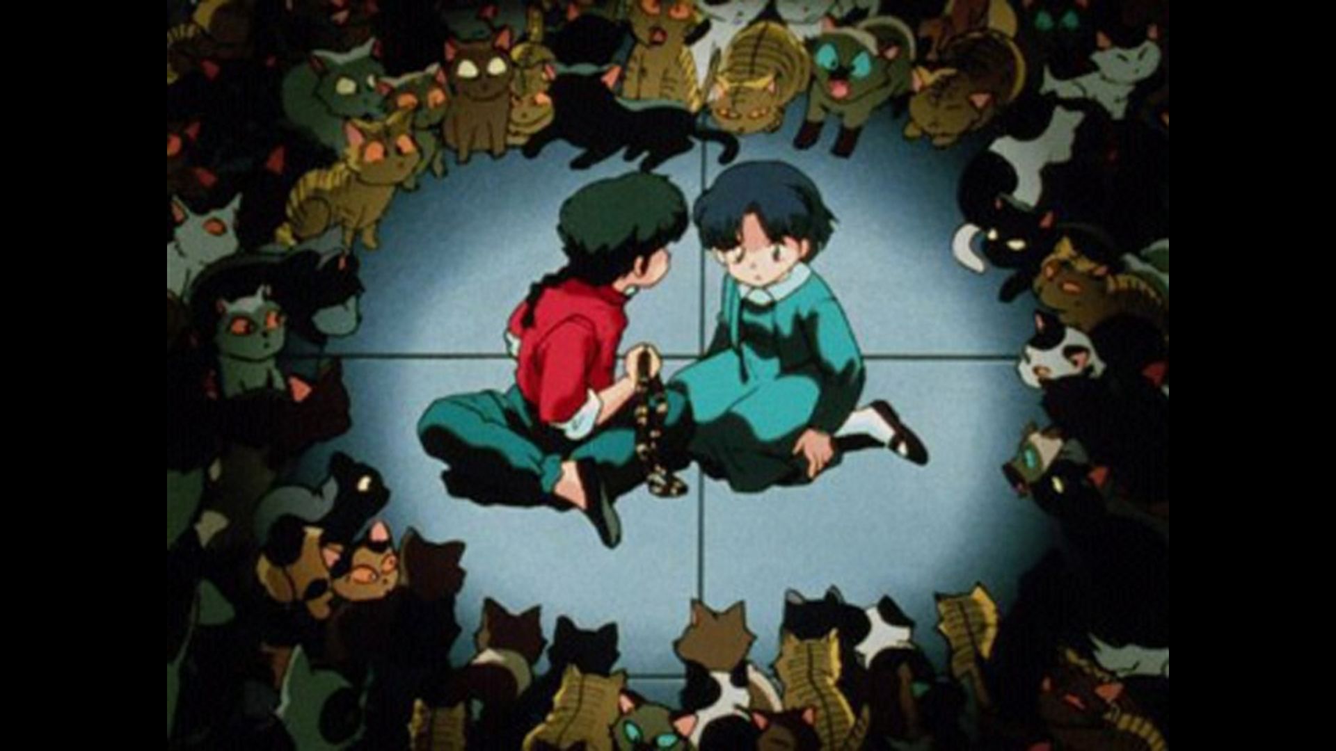 やっぱり猫が嫌い？