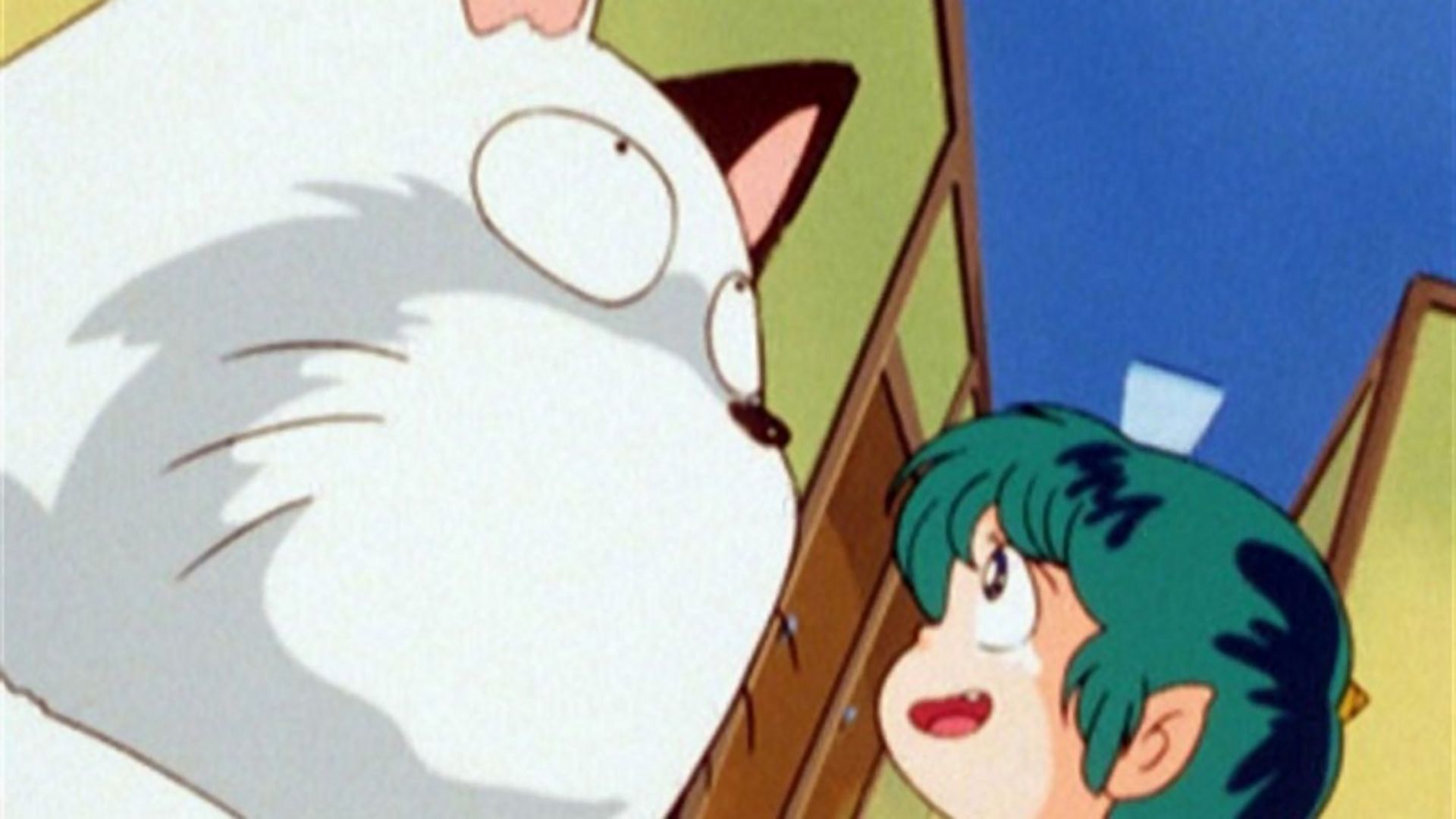 階段に猫がおんねん