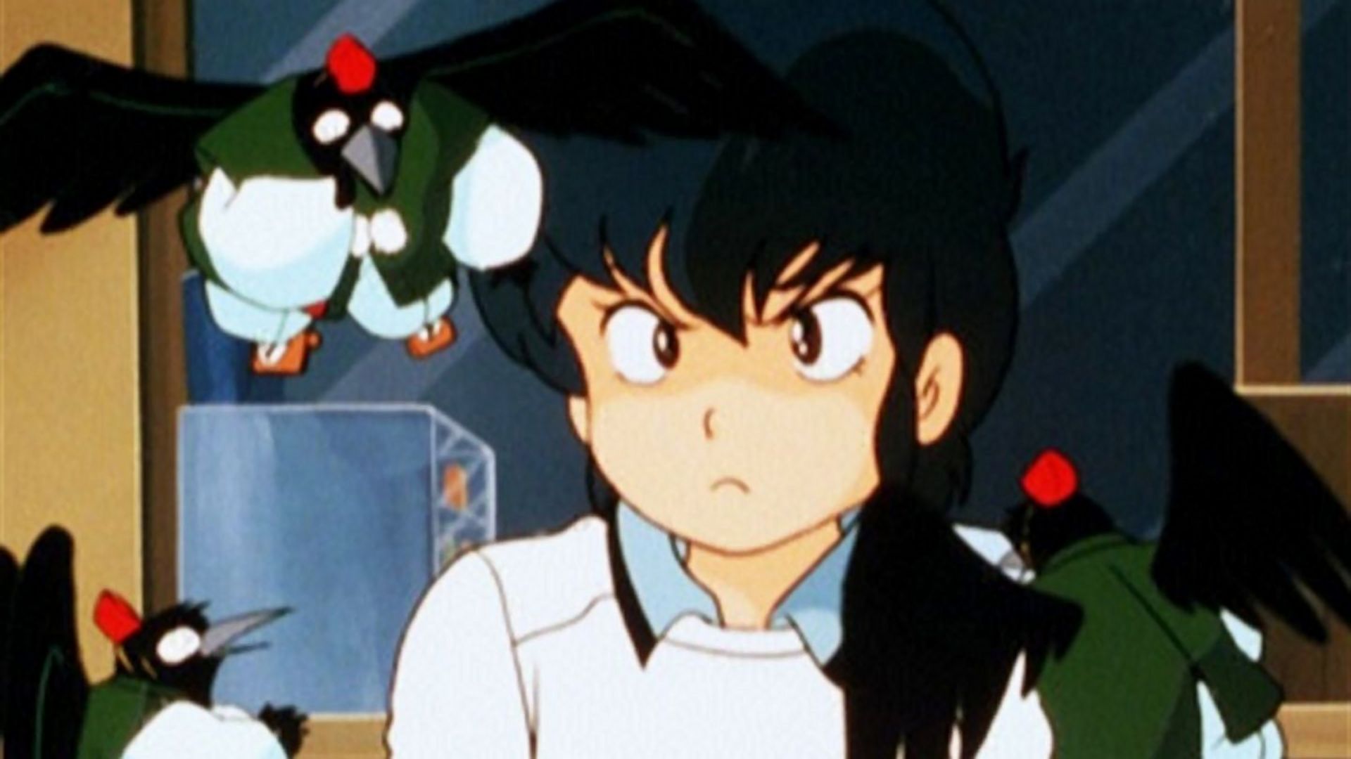 花ムコの名は竜之介