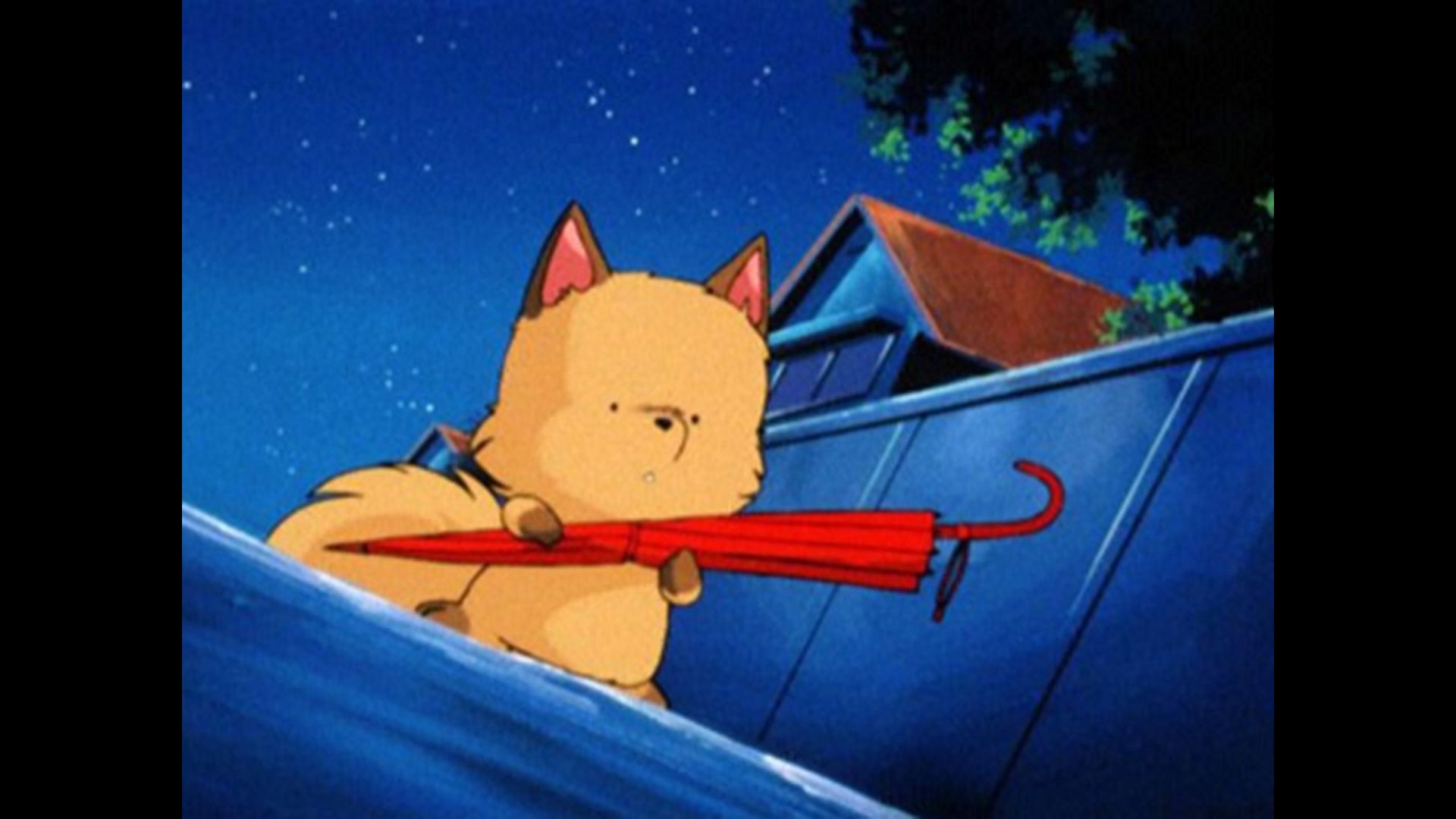 キツネのかた想い　恋すれどせつなく・・・