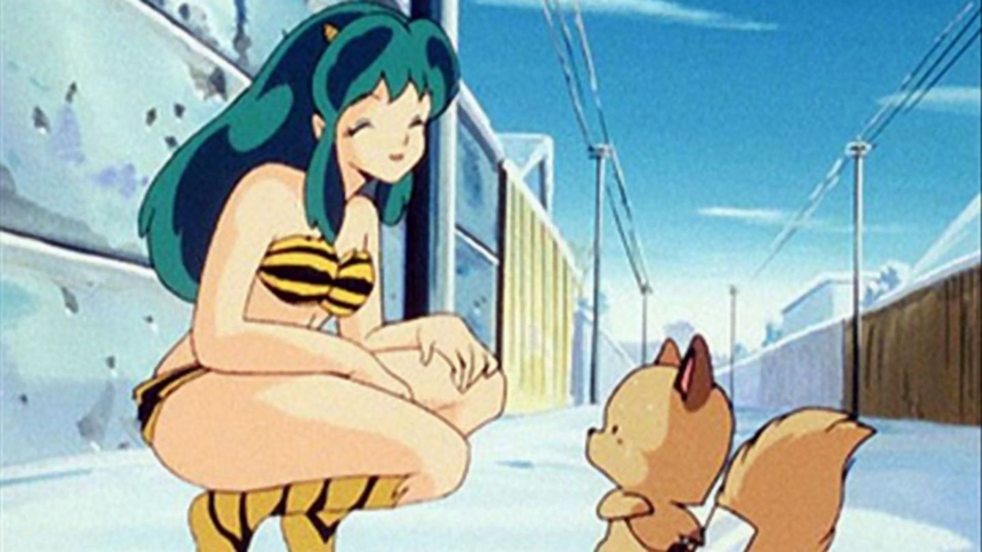 恋ひとすじ！命かけます純情キツネ！！