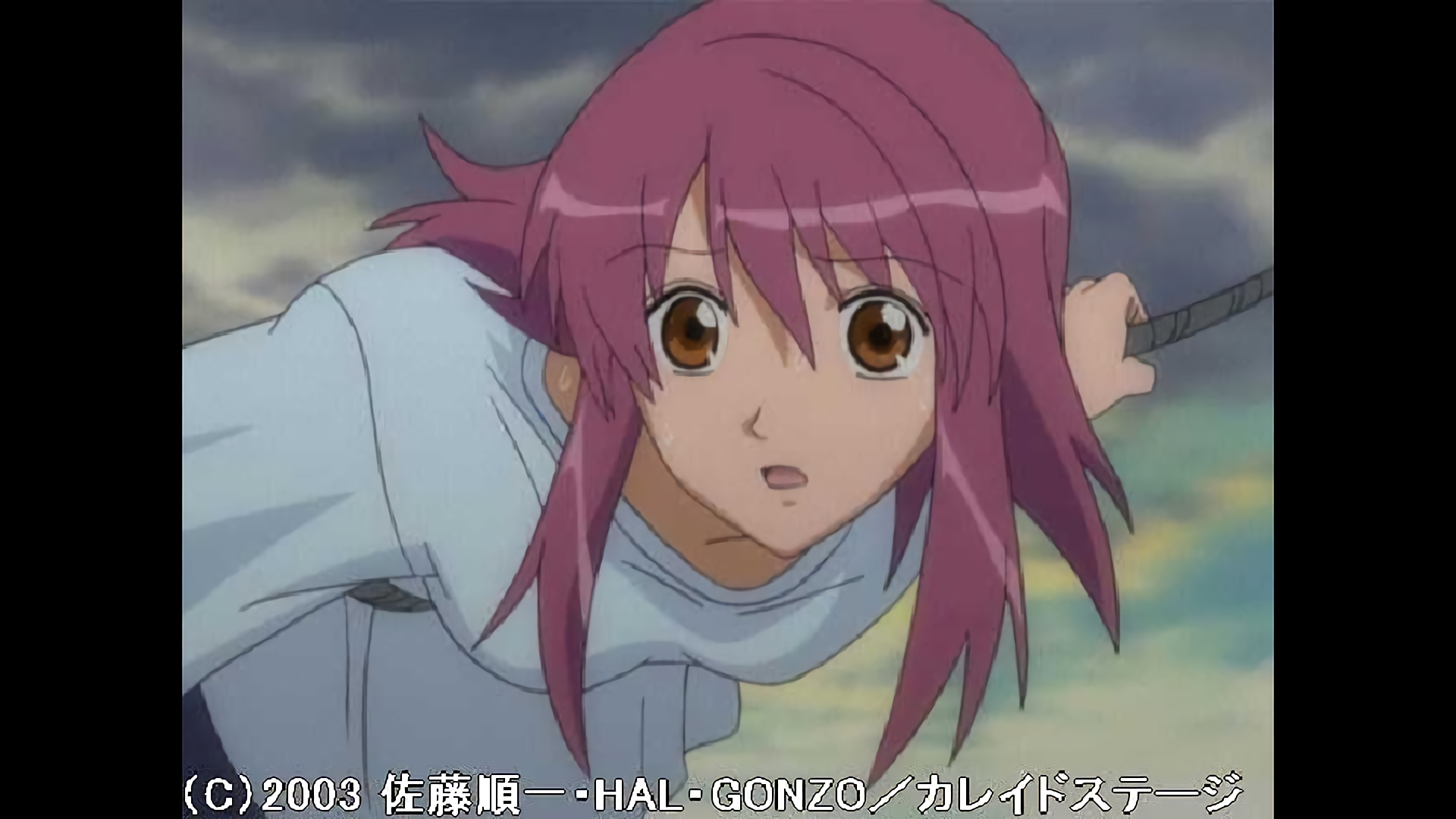 嵐を呼ぶ　すごい　競演