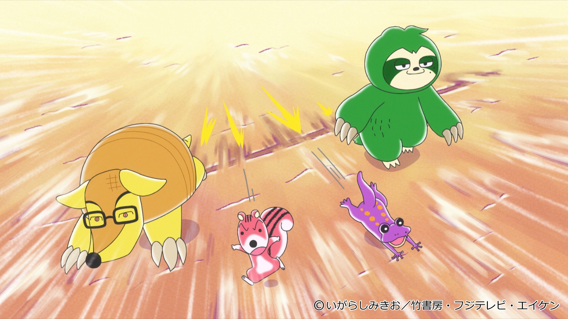 クイズしまっちゃ王！3回戦