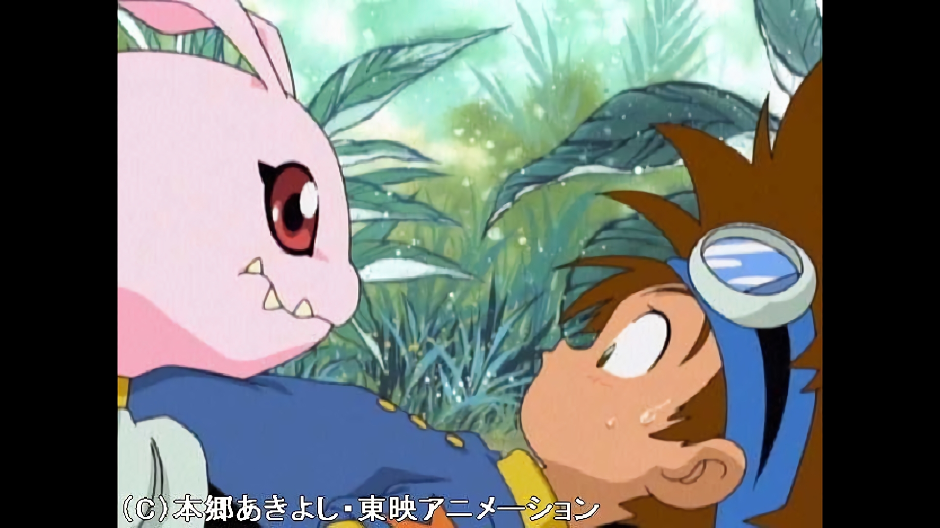 漂流？冒険の島！