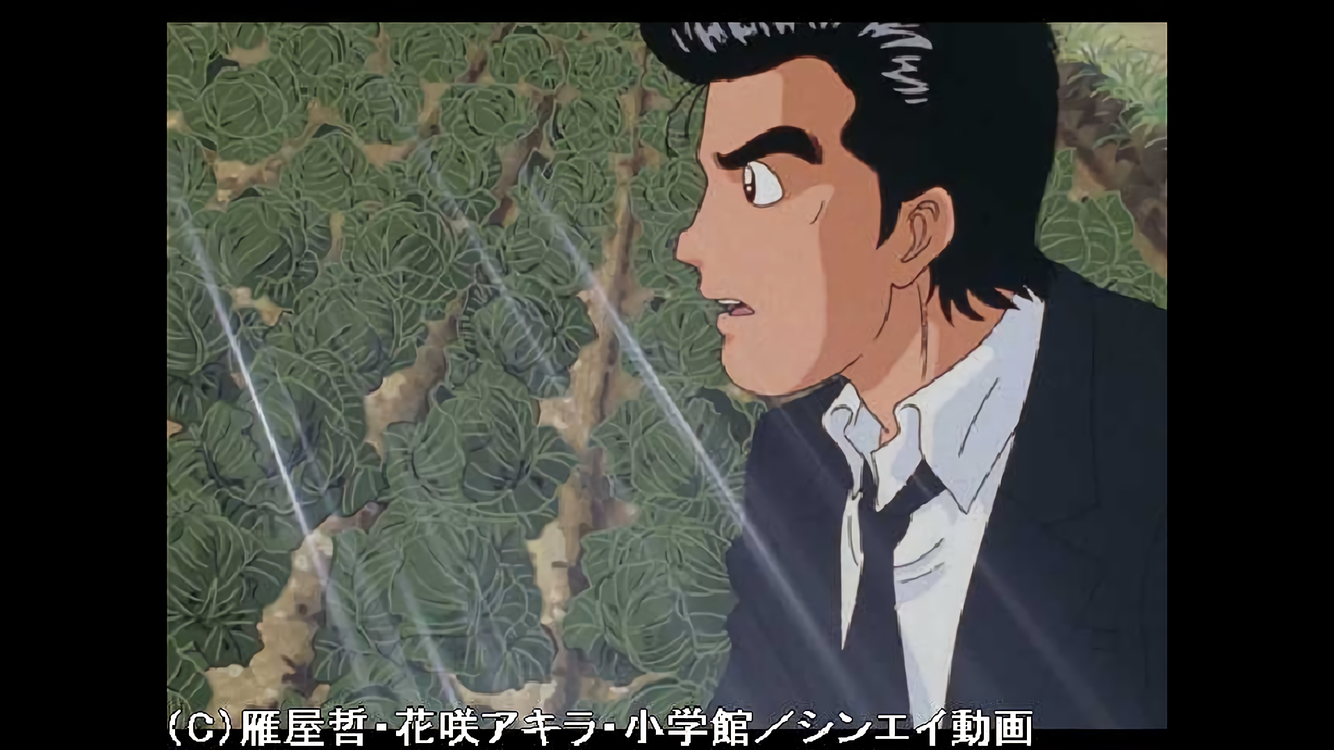 究極VS至高 生きている米