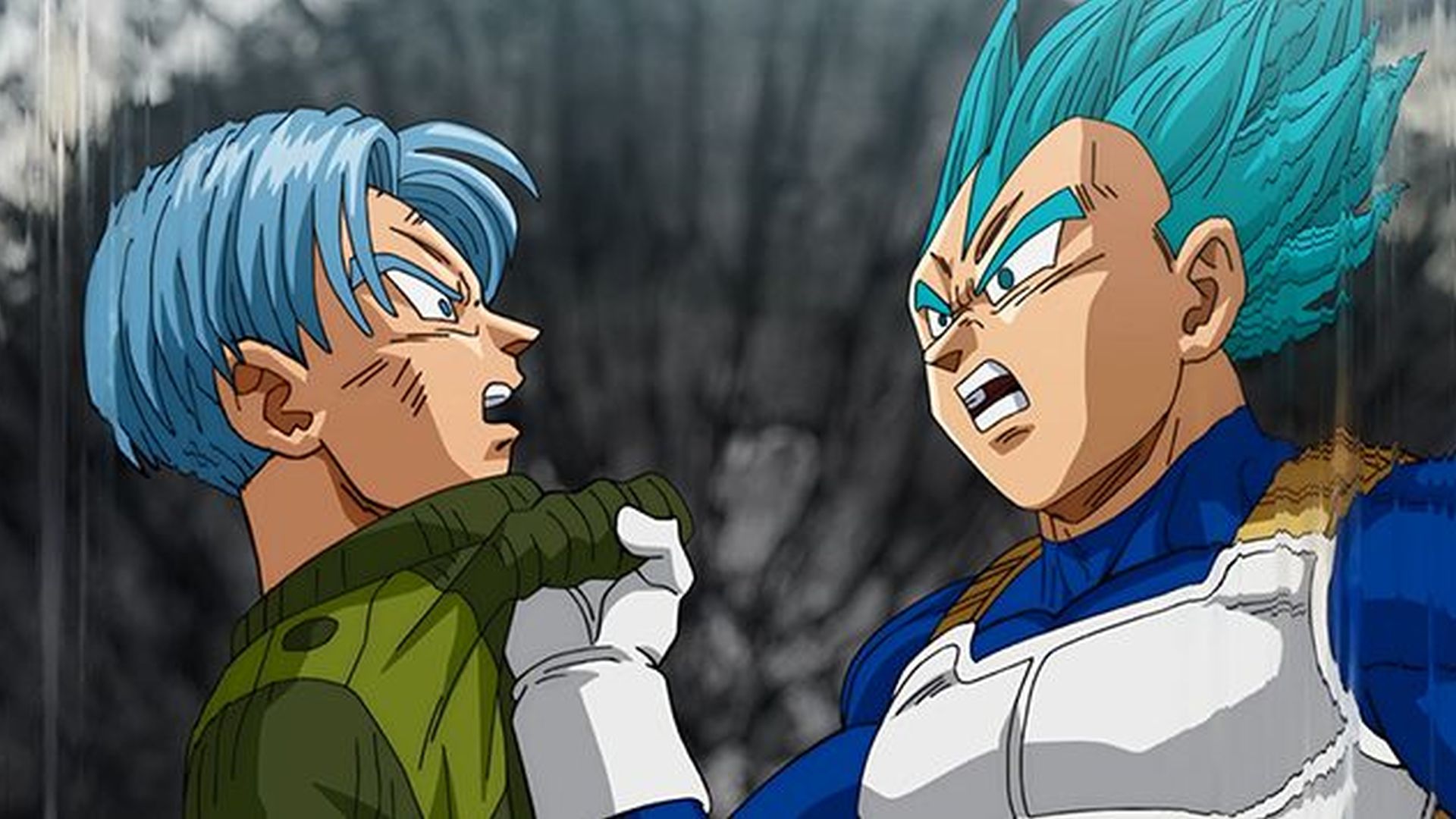 サイヤ人の血をひく者 トランクスの決意