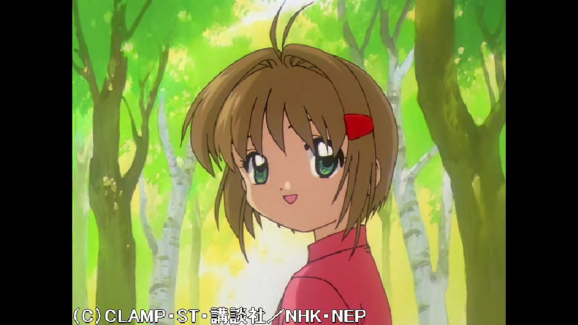 さくらと思い出の虹