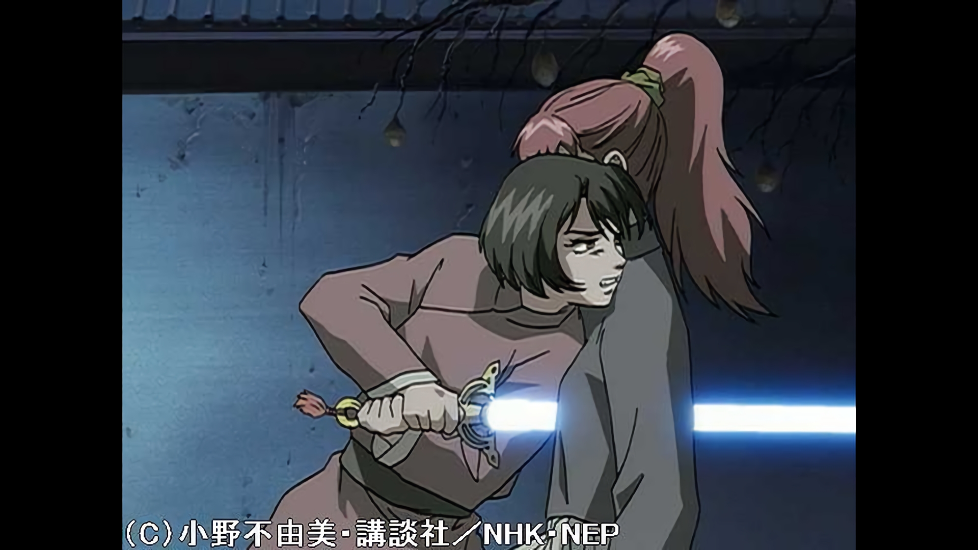 月の影 影の海　十二章