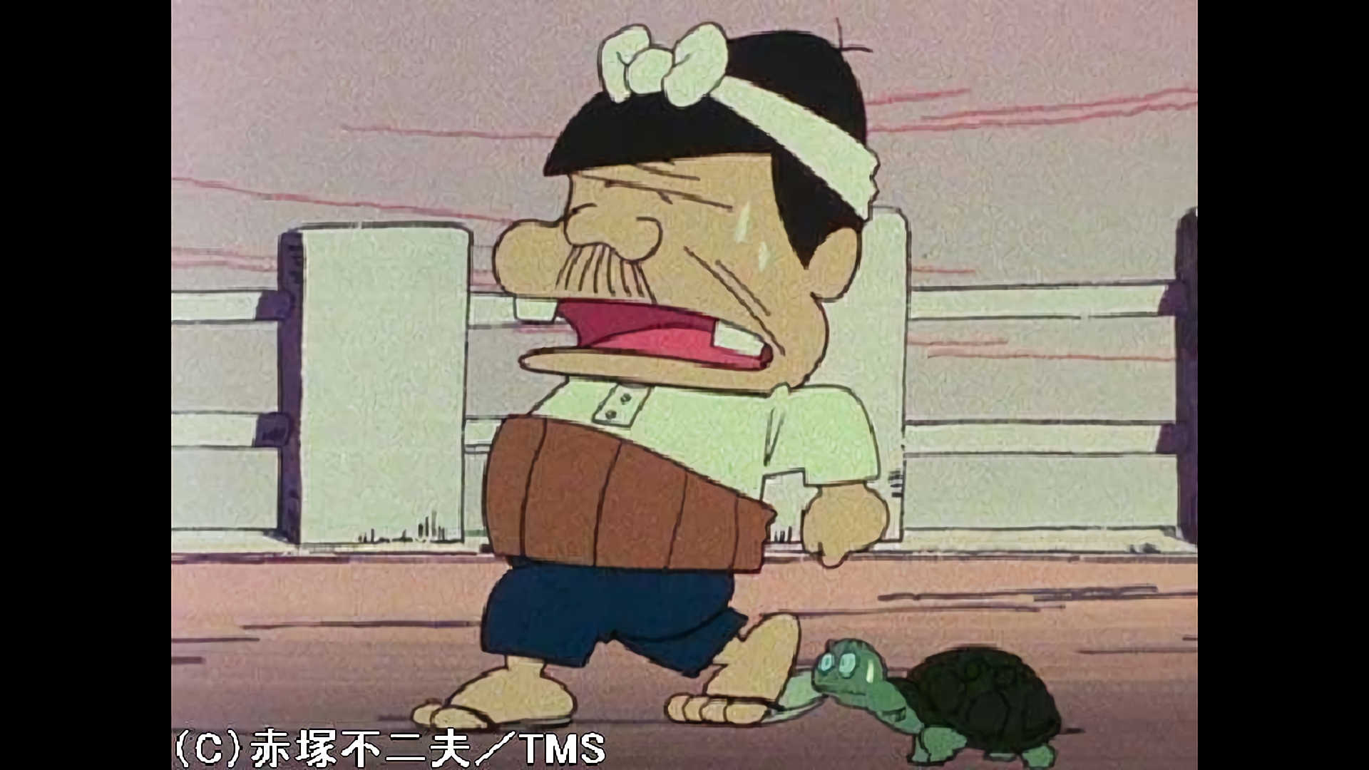 もしもしカメよカメさまなのだ／ヤキモチの結婚記念日なのだ