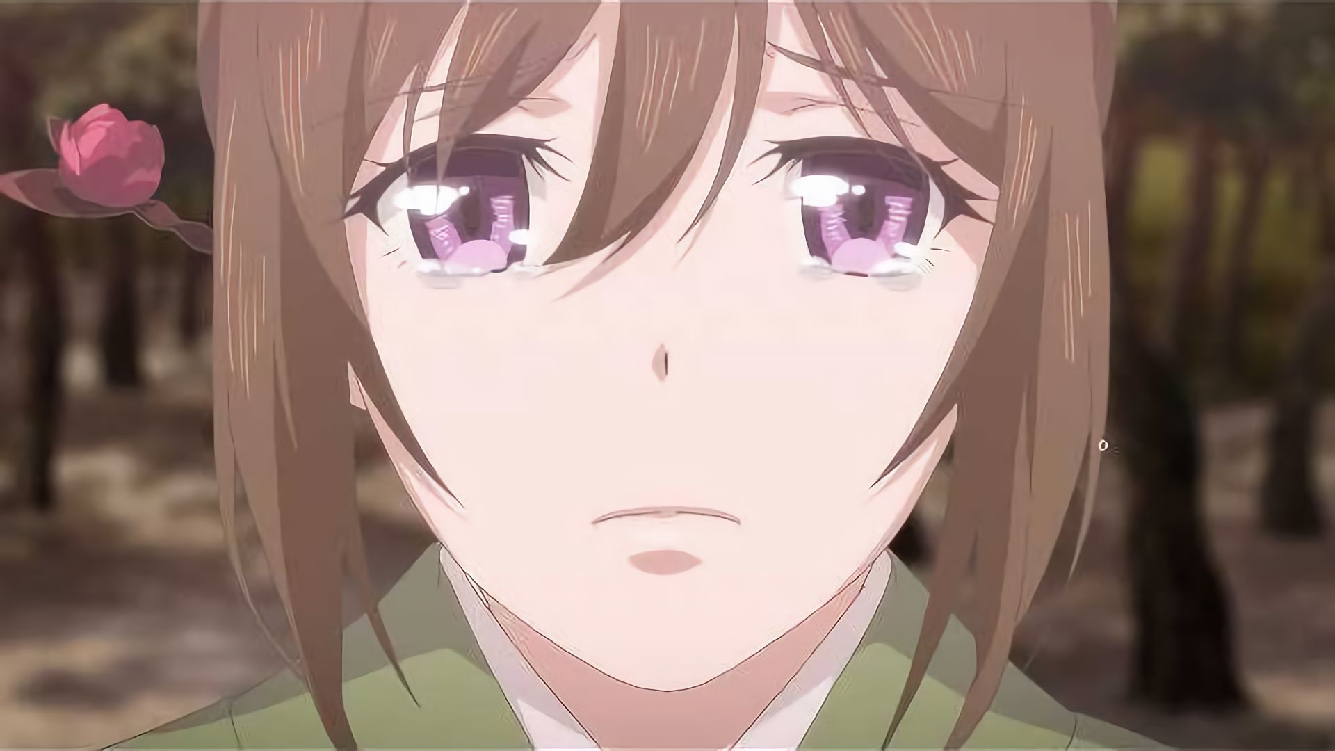 あやかしお宿に美味い肴あります。