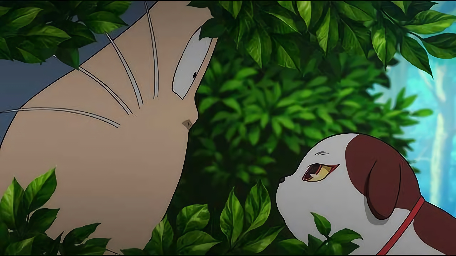 厄運のすねこすり