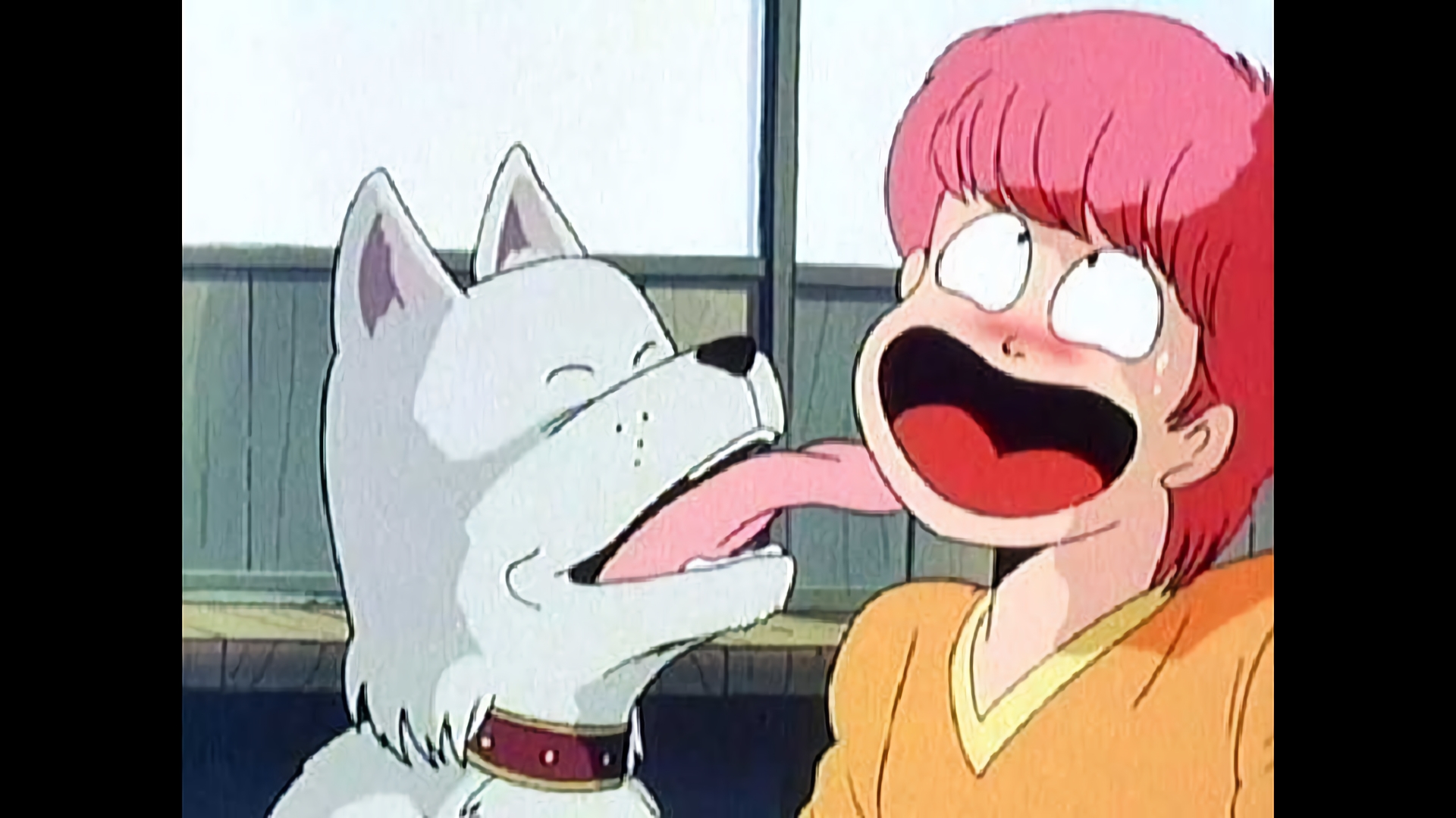 忠犬ラッシー物語／物星大・春なのにオカマですか？