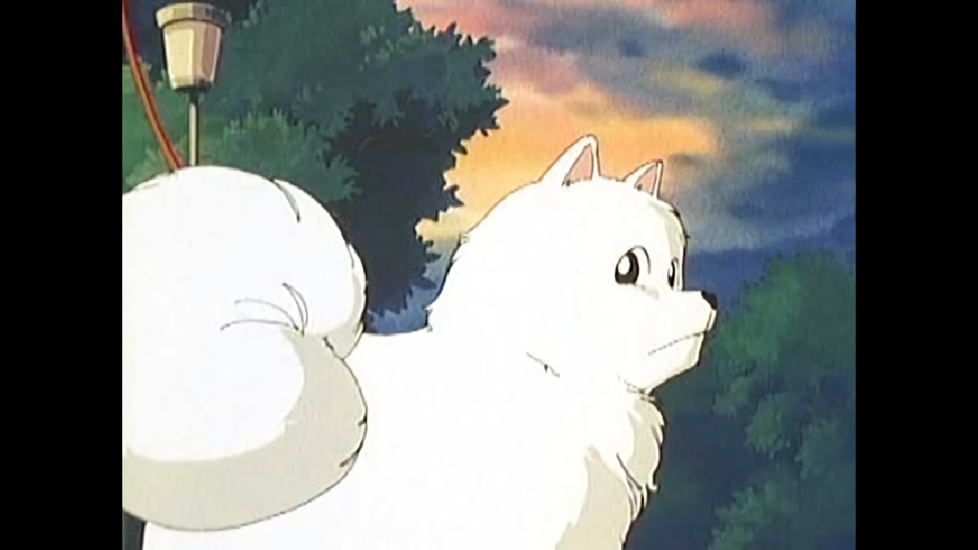 名犬ラッシーのシンデレラ物語