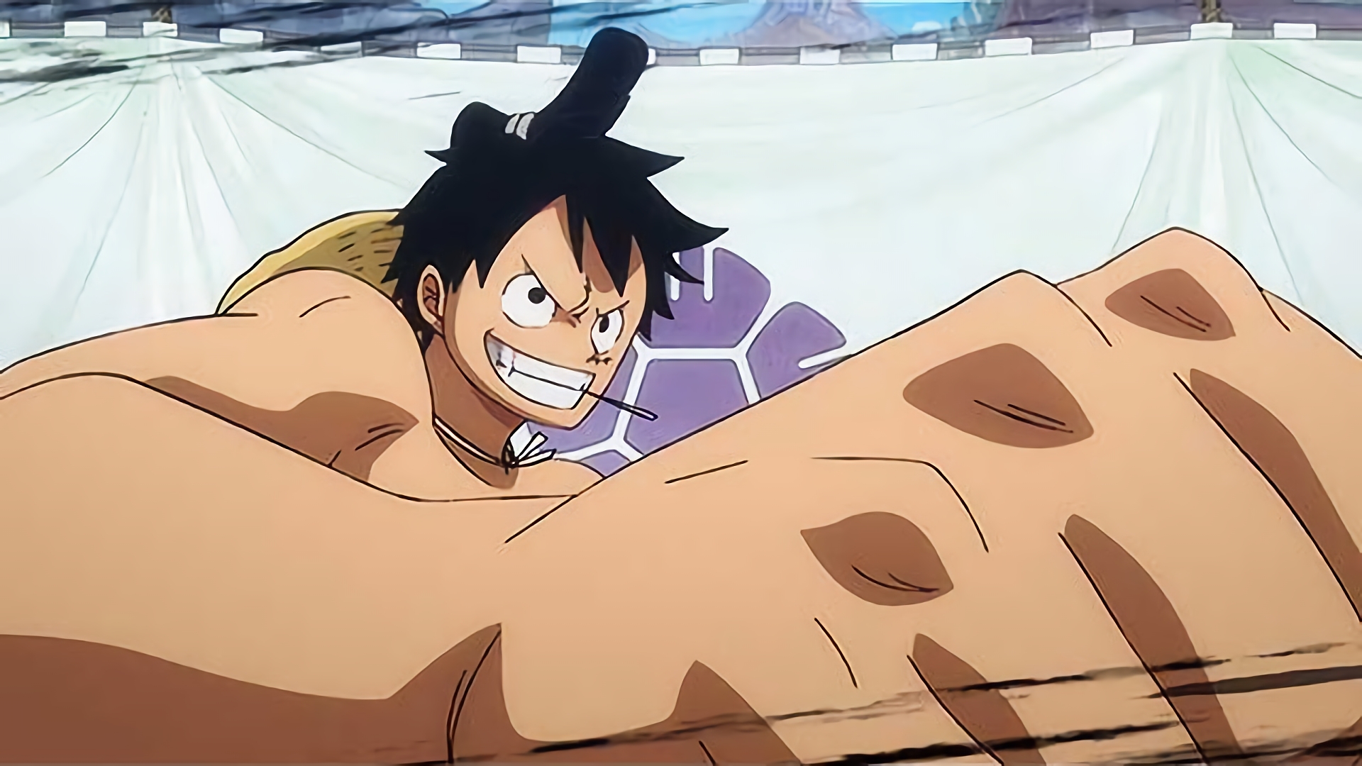 相撲決戦 麦わらVS最強の横綱！