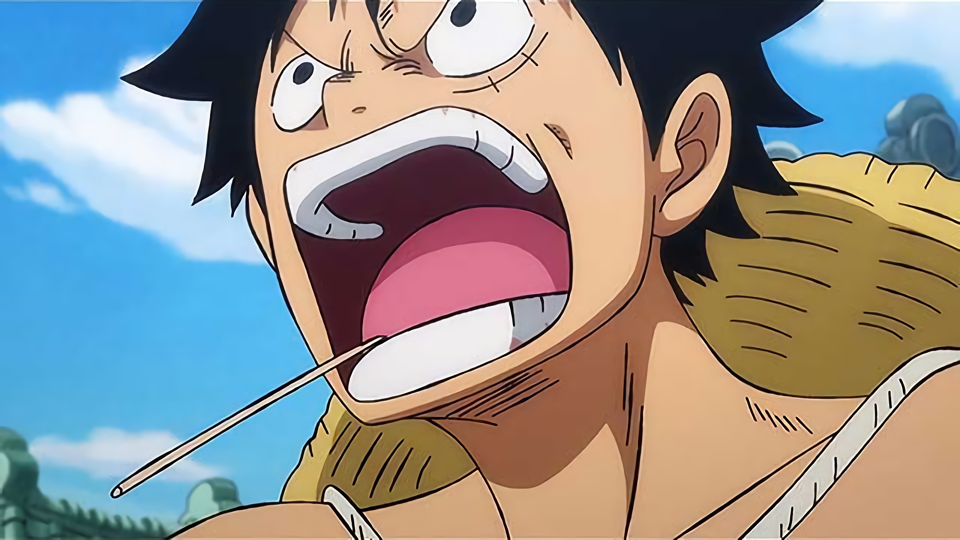 ルフィ激怒 ピンチのお玉を救え！