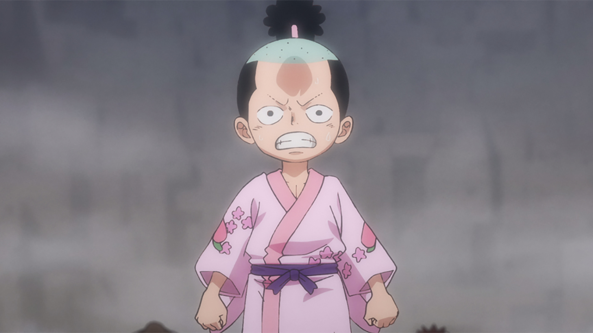 兵どもが夢！ ルフィ兎丼制圧！