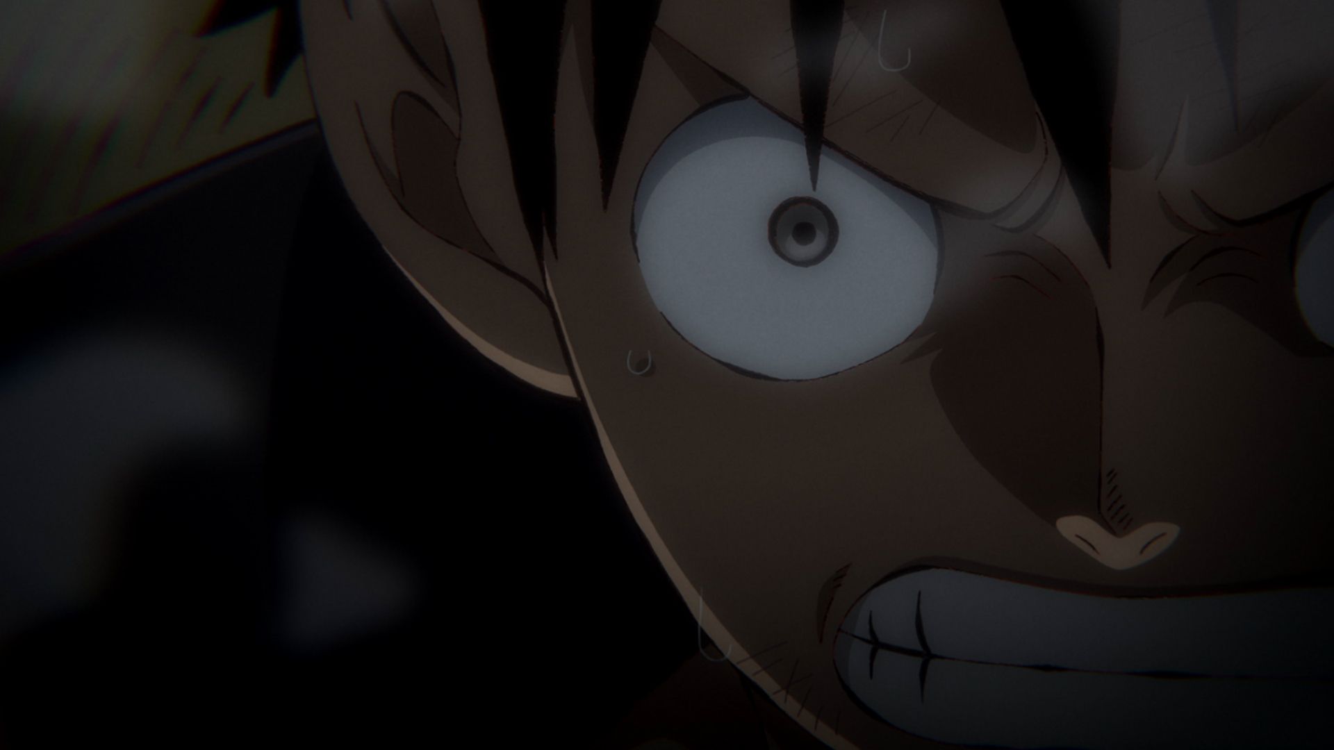 麦わらのルフィ　海賊王になる男